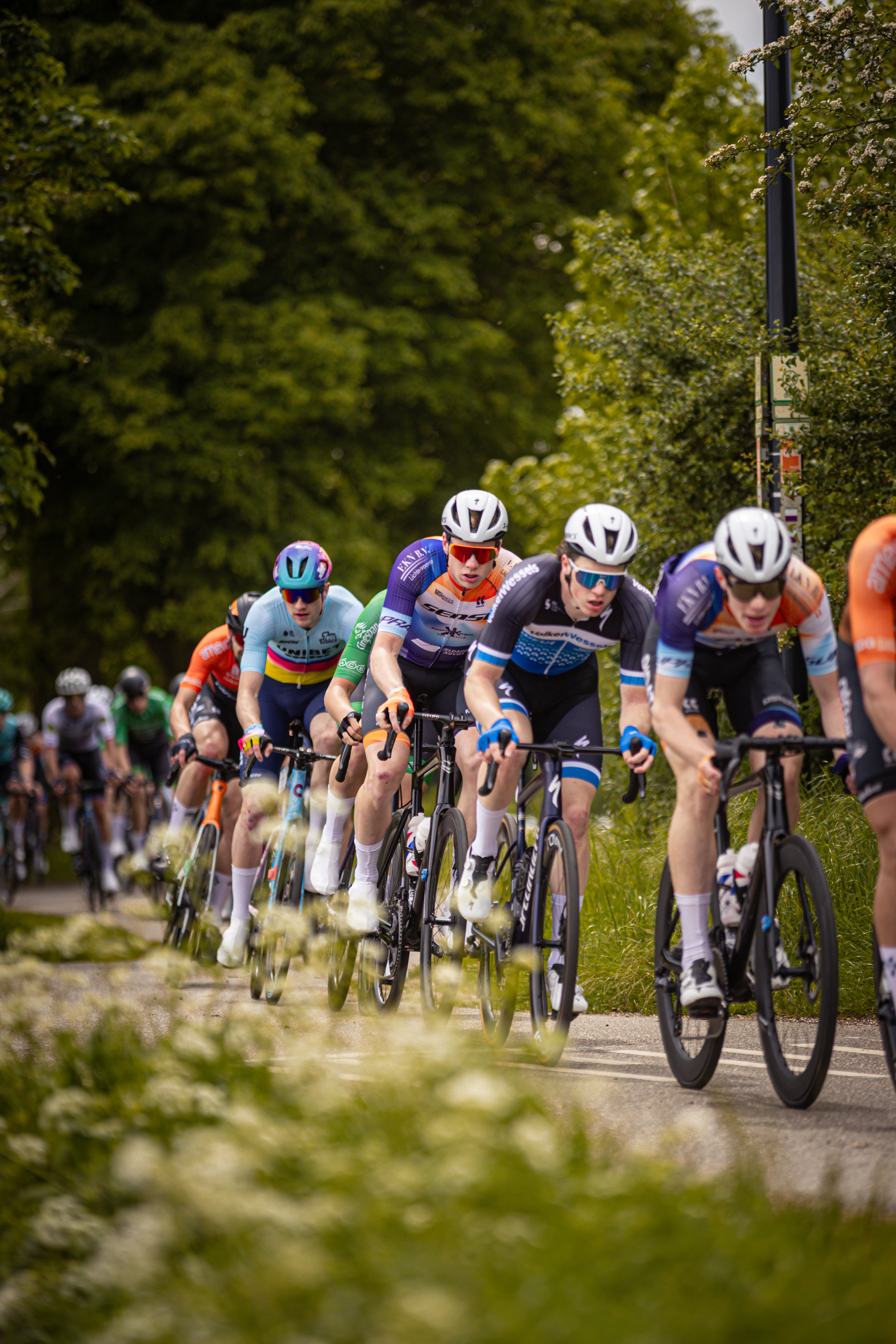 Riders wearing a combination of blue and orange race on a sunny day.