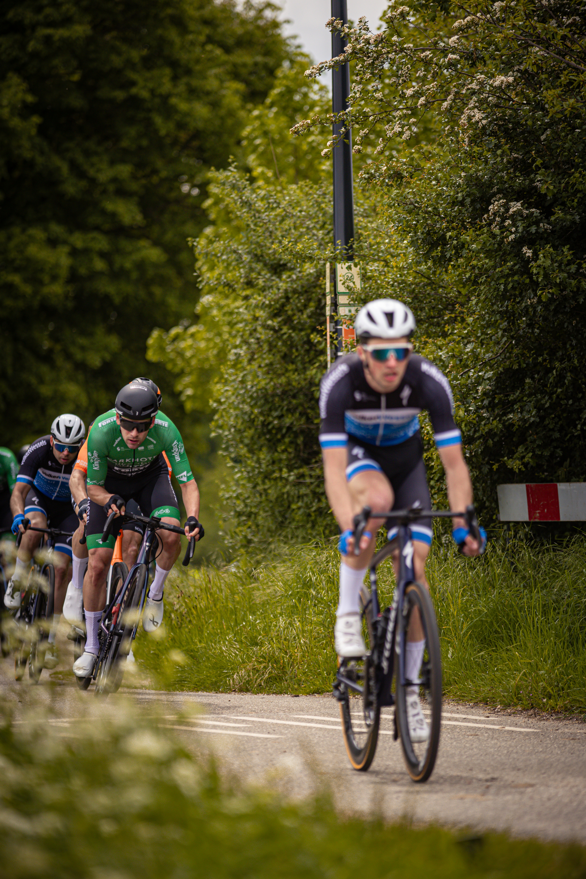 Three cyclists racing down a road with lush green trees surrounding them.