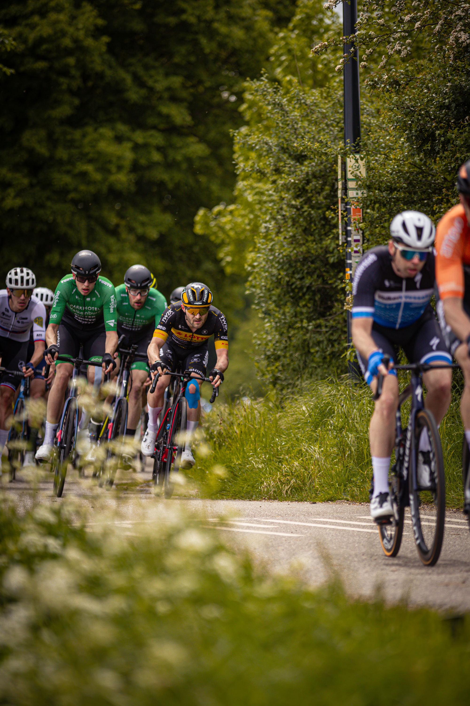 A group of cyclists race through a scenic forest during the Rode van Overijssel in 2024.