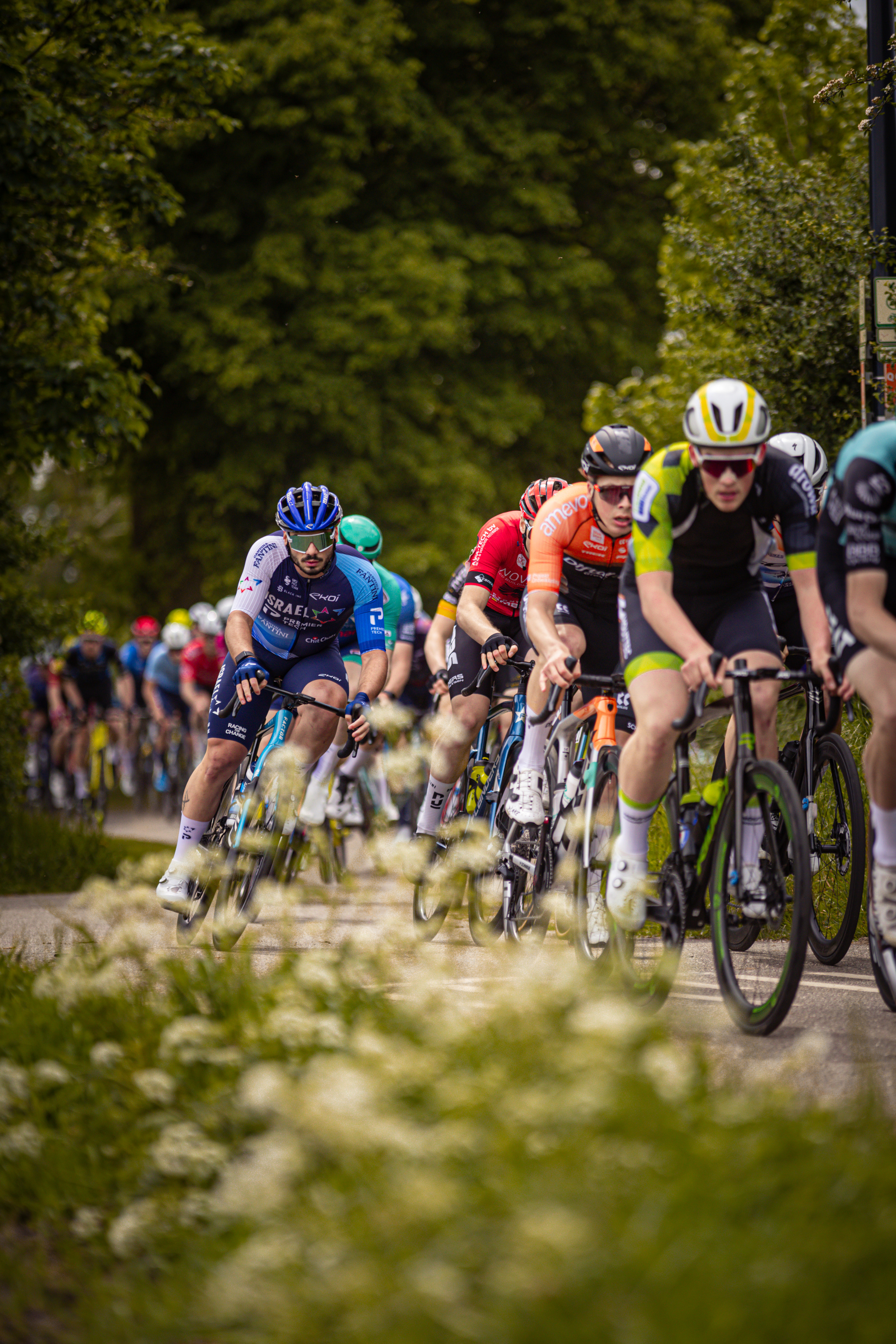 Several cyclists in a group race through the countryside, with one cyclist wearing a number 11 on his uniform.