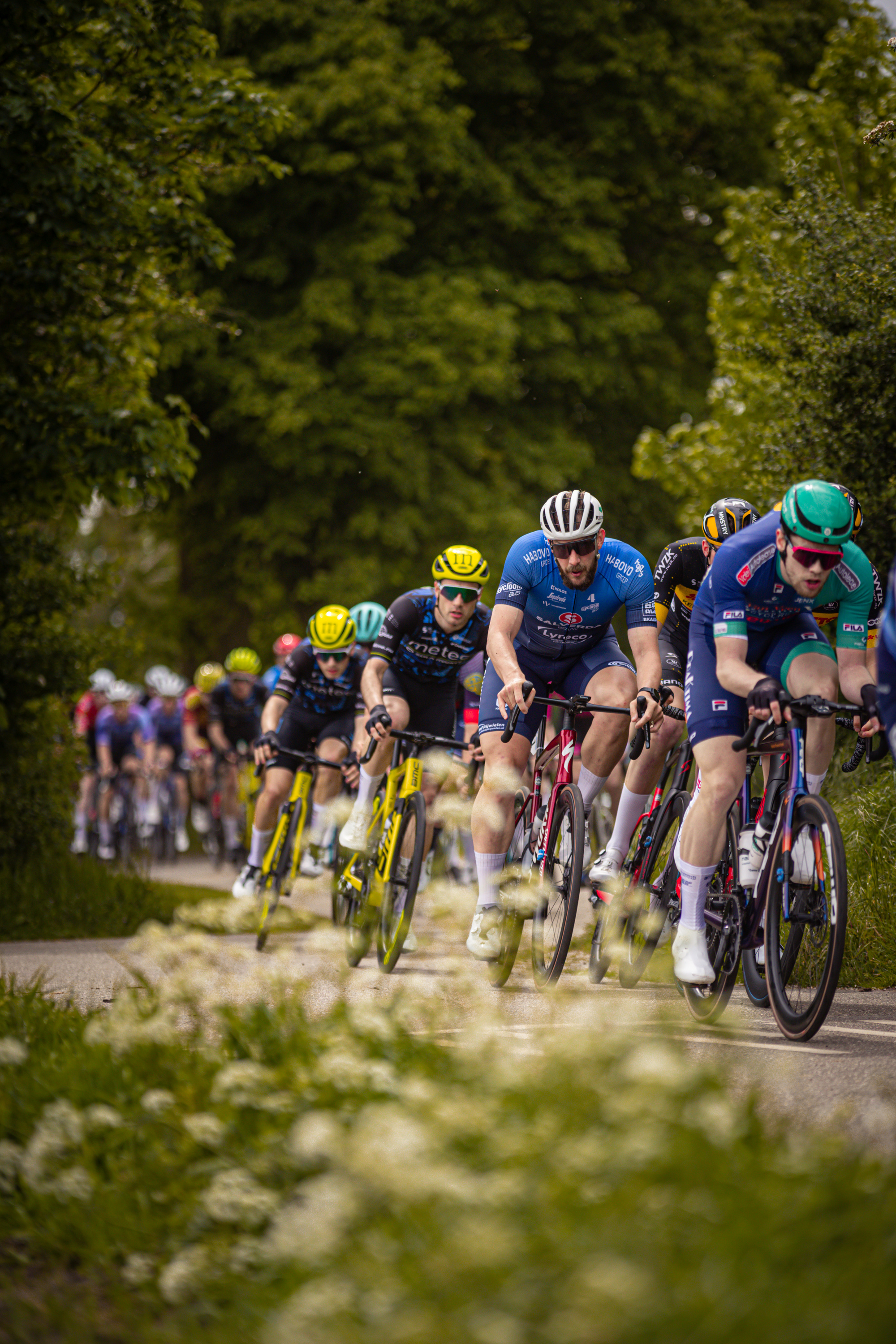 A group of cyclists are racing in a race during the Ronde van Overijssel in 2024.