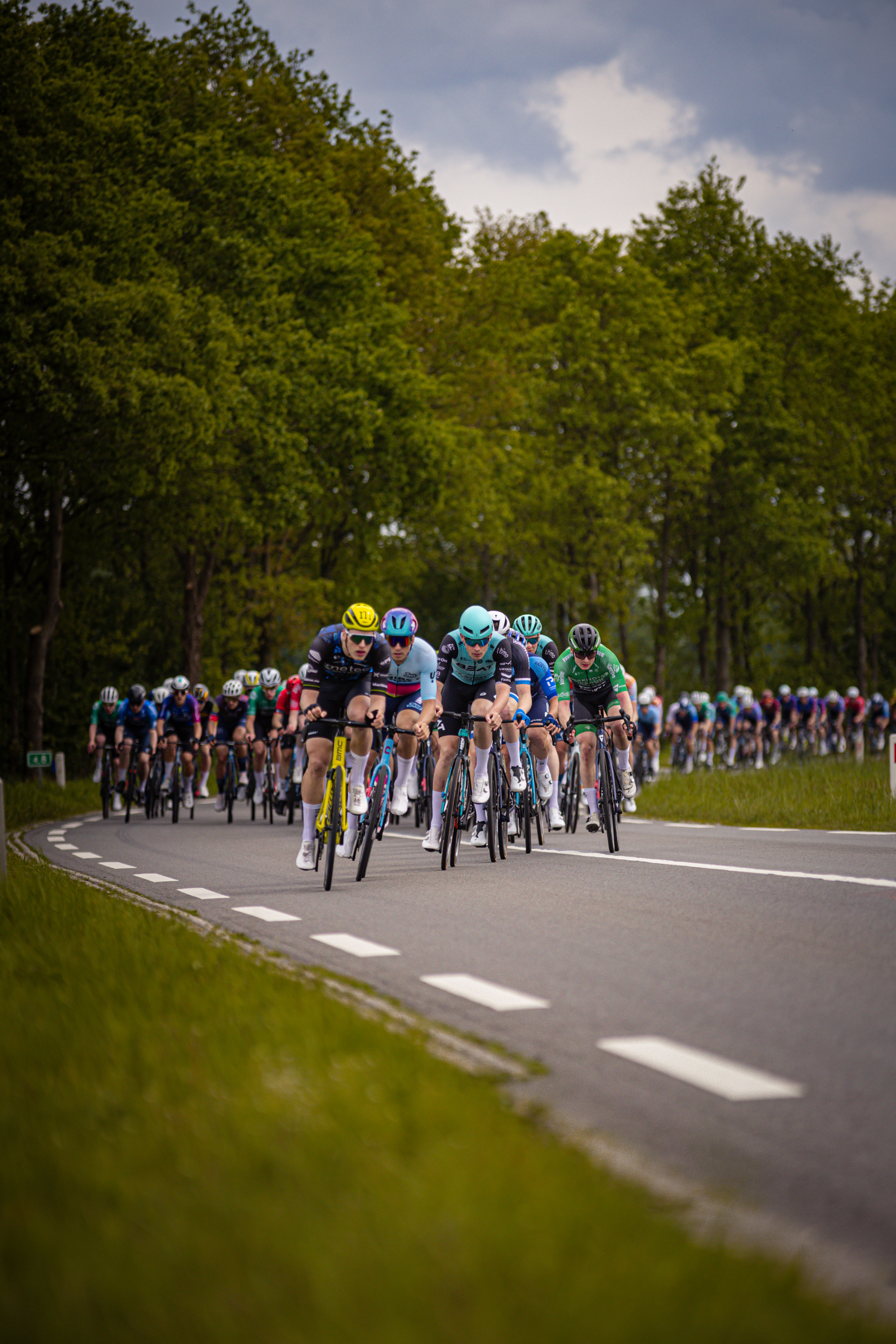 A group of bicyclists race down a road, with the blue cyclist leading the pack.