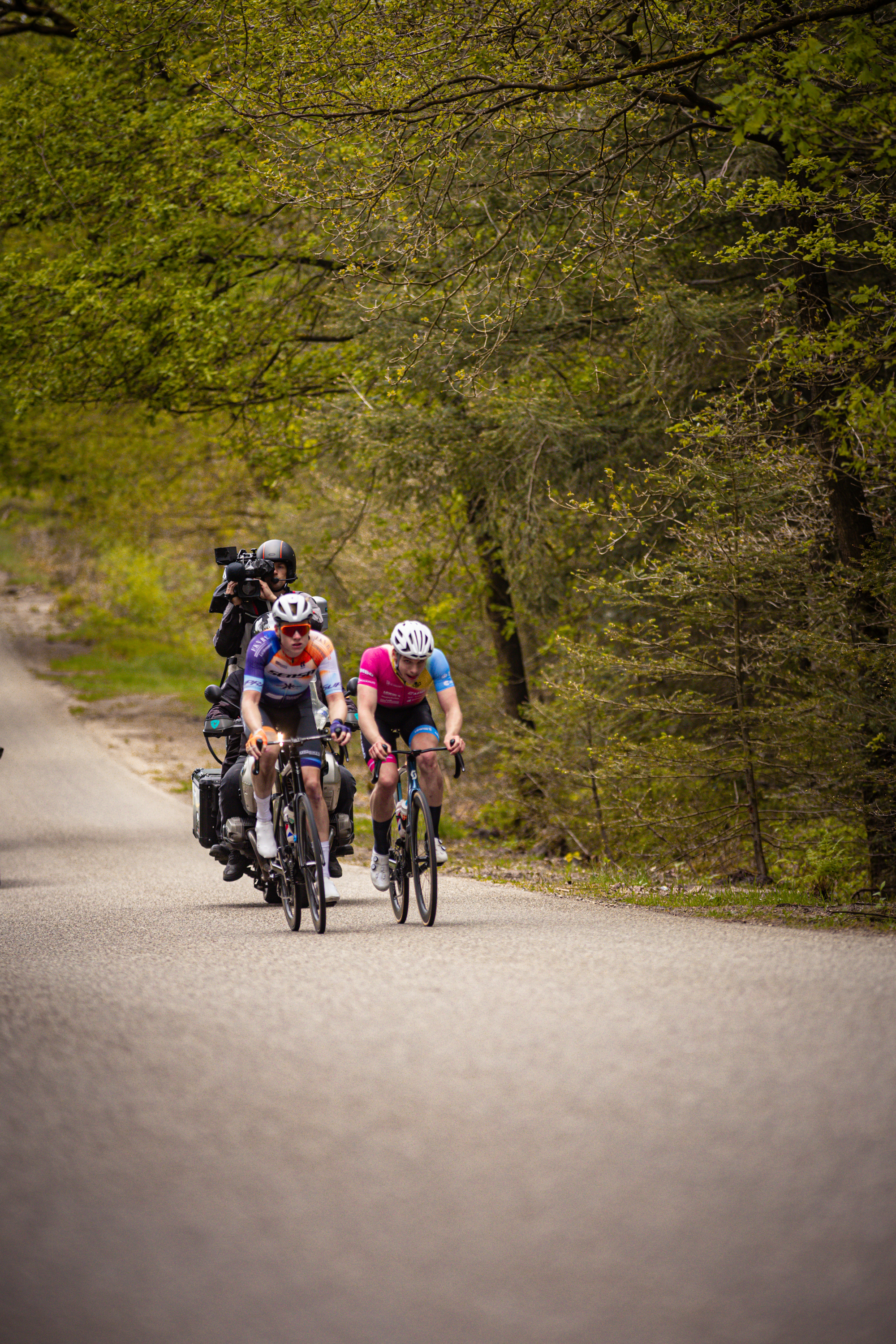 Several bikers are riding down a road, with trees visible on the right.