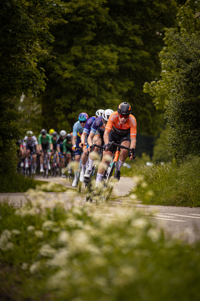 A group of cyclists race down a tree-lined street during the Ronde van Overijssel.