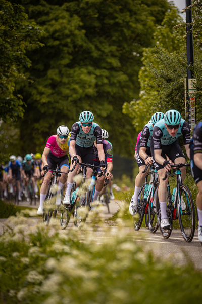 A group of cyclists race along a street with trees and bushes in the foreground.