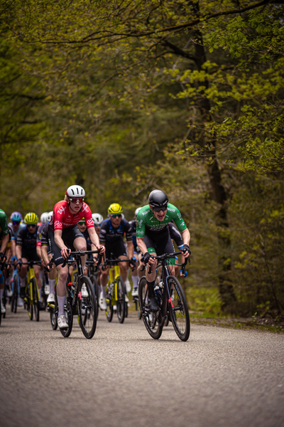 Several cyclists are riding in a race on a road surrounded by trees.