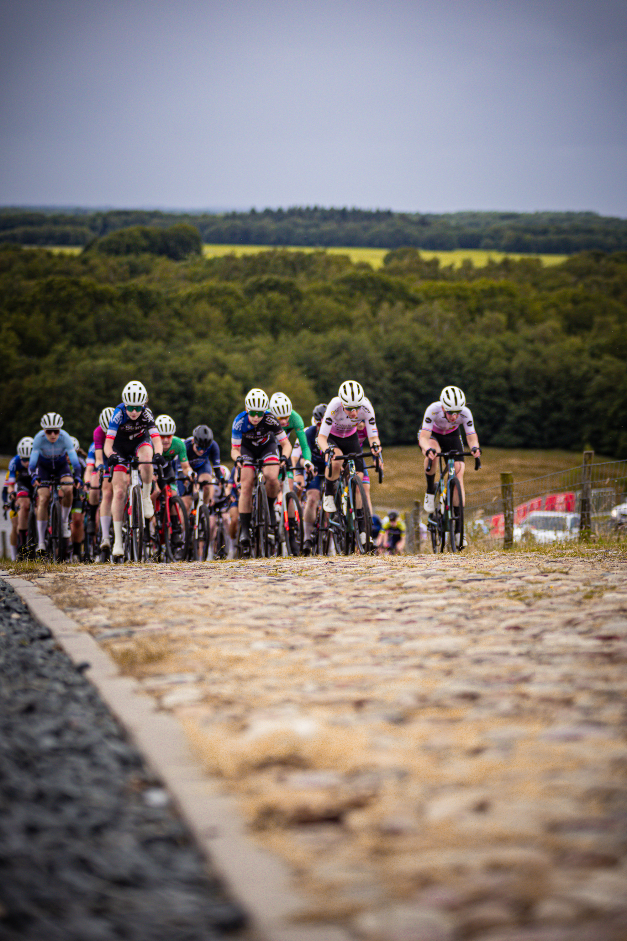 Several cyclists participate in a race, one of them is wearing a pink and white shirt with the number 2 on it.