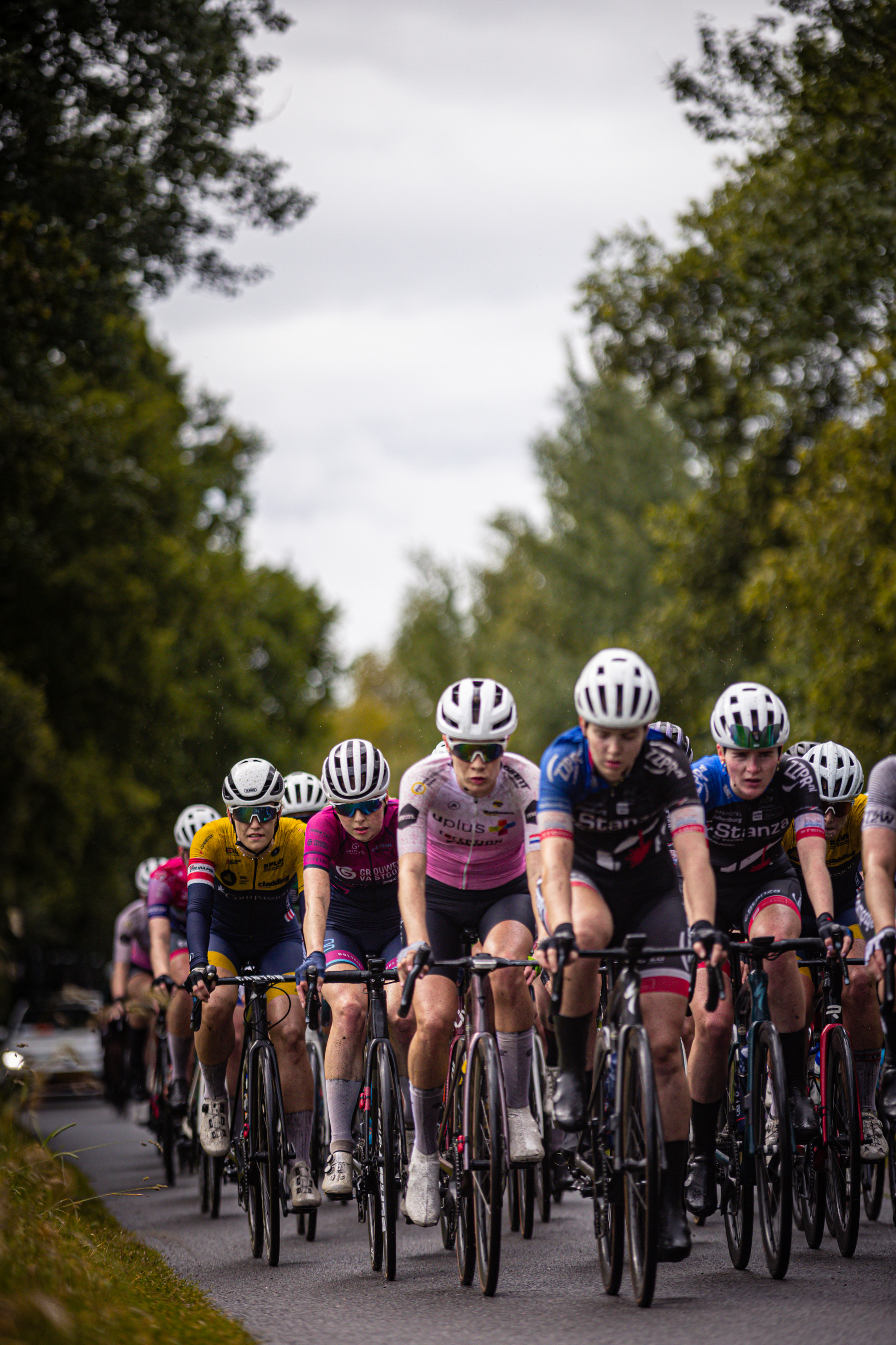 A group of cyclists in a race with the winner wearing number 2.