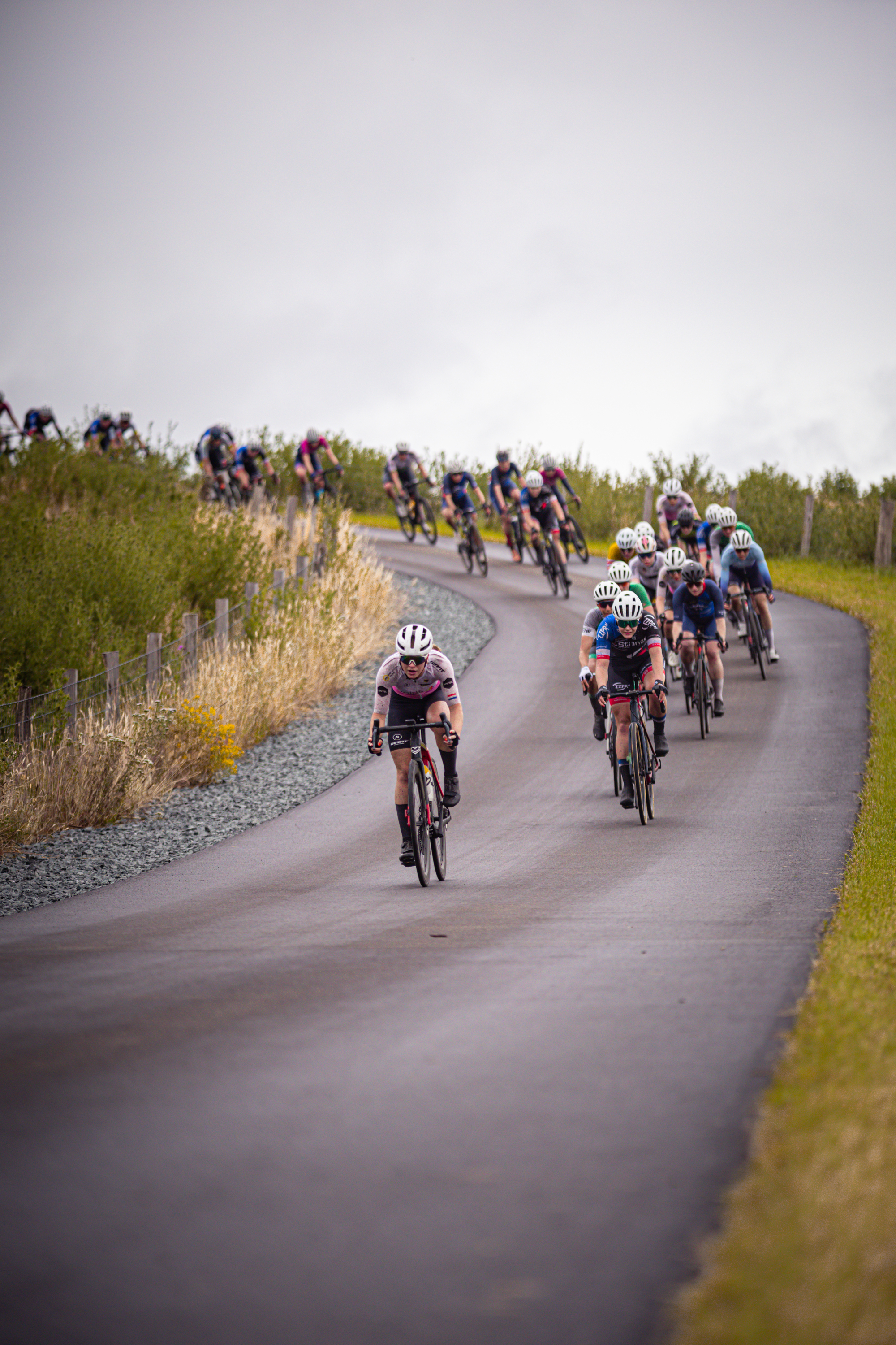 A group of cyclists compete in a race on a winding road.