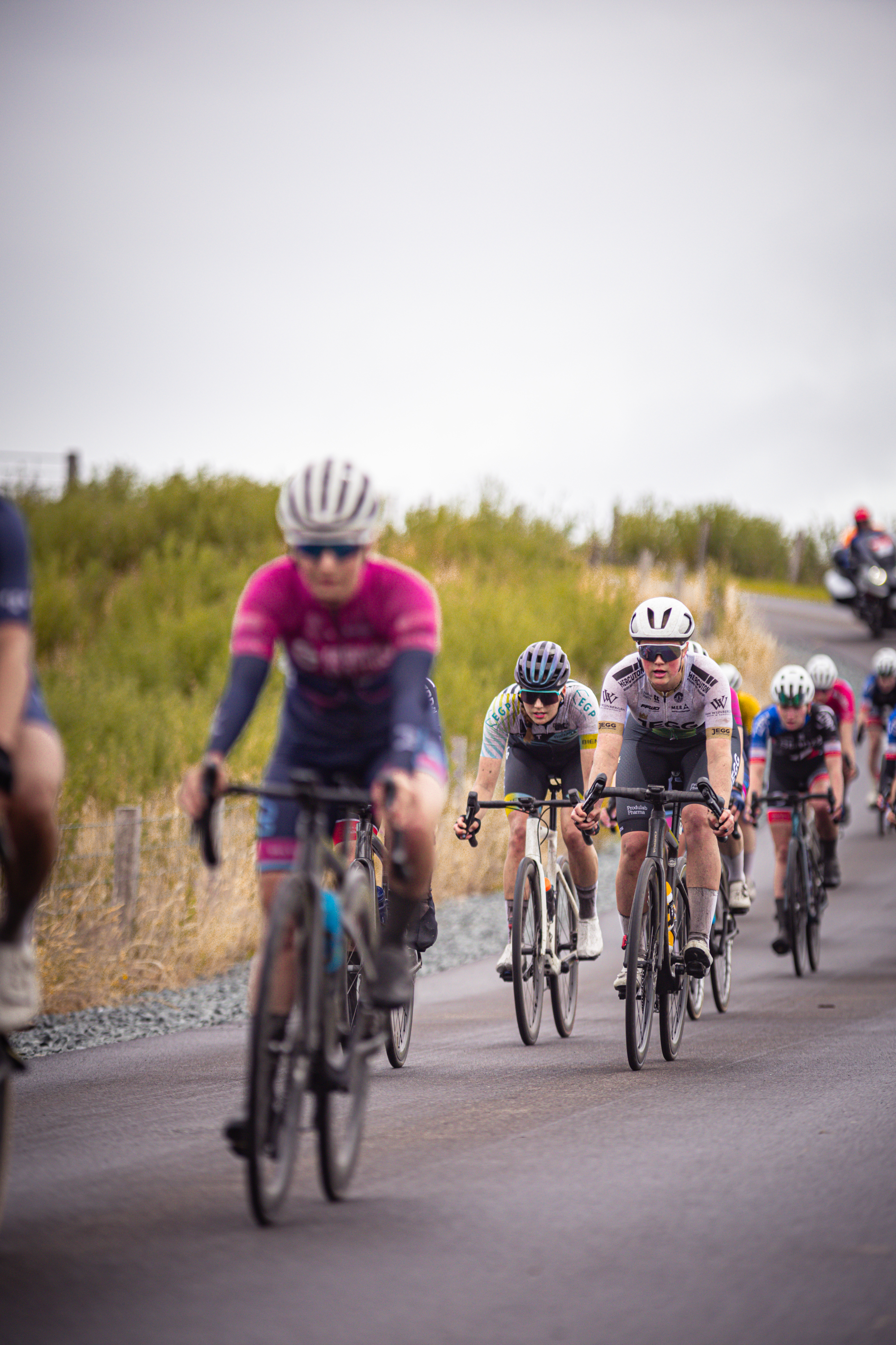 A group of cyclists race through a grassy field with the word Wielrennen on their helmets.