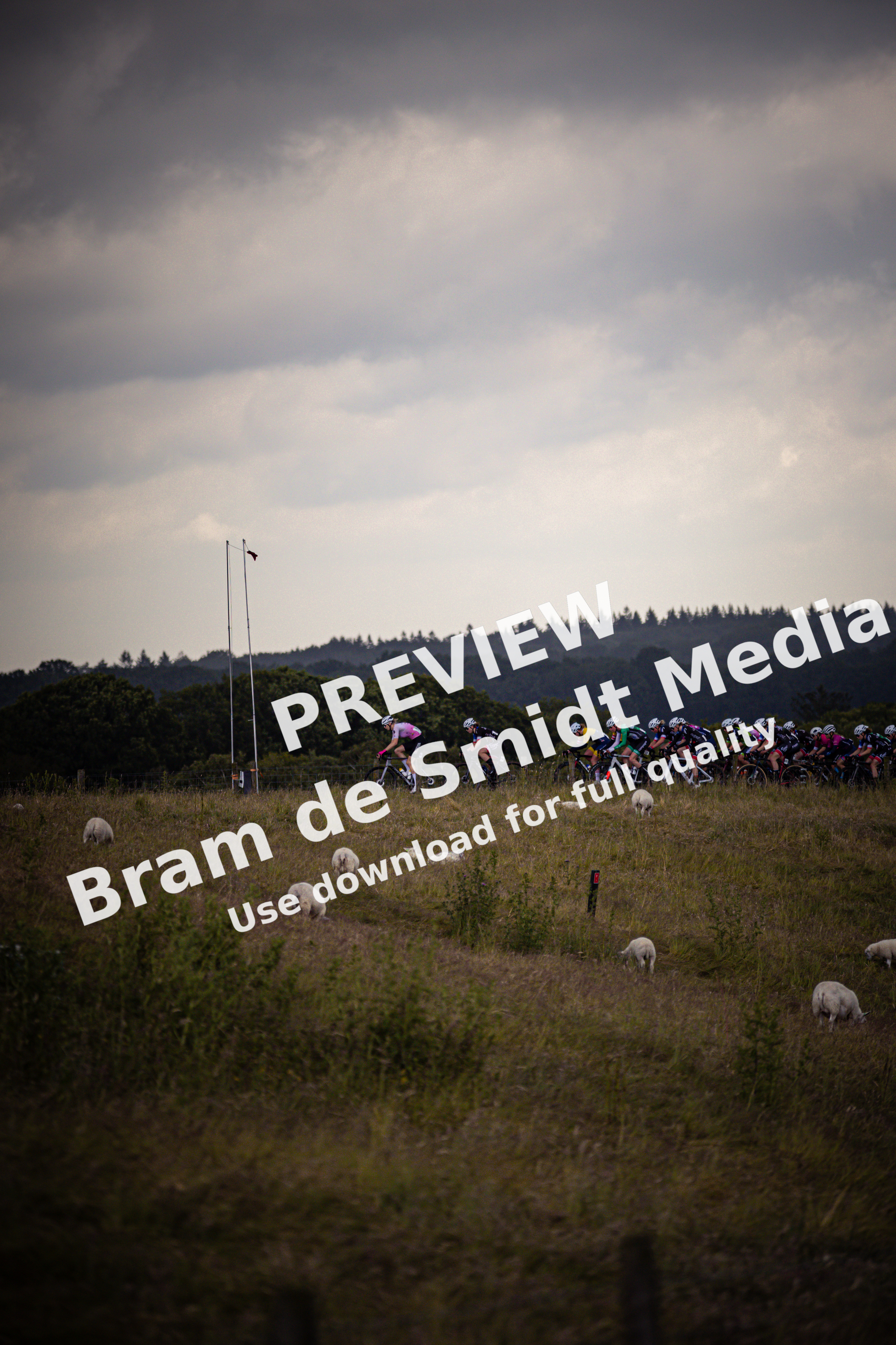 Dames Elite ZC compete in the Nederlands Kampioenschap during 2024.