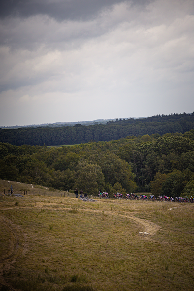 A group of cyclists are racing in a competition during the Nederlands Kampioenschap.