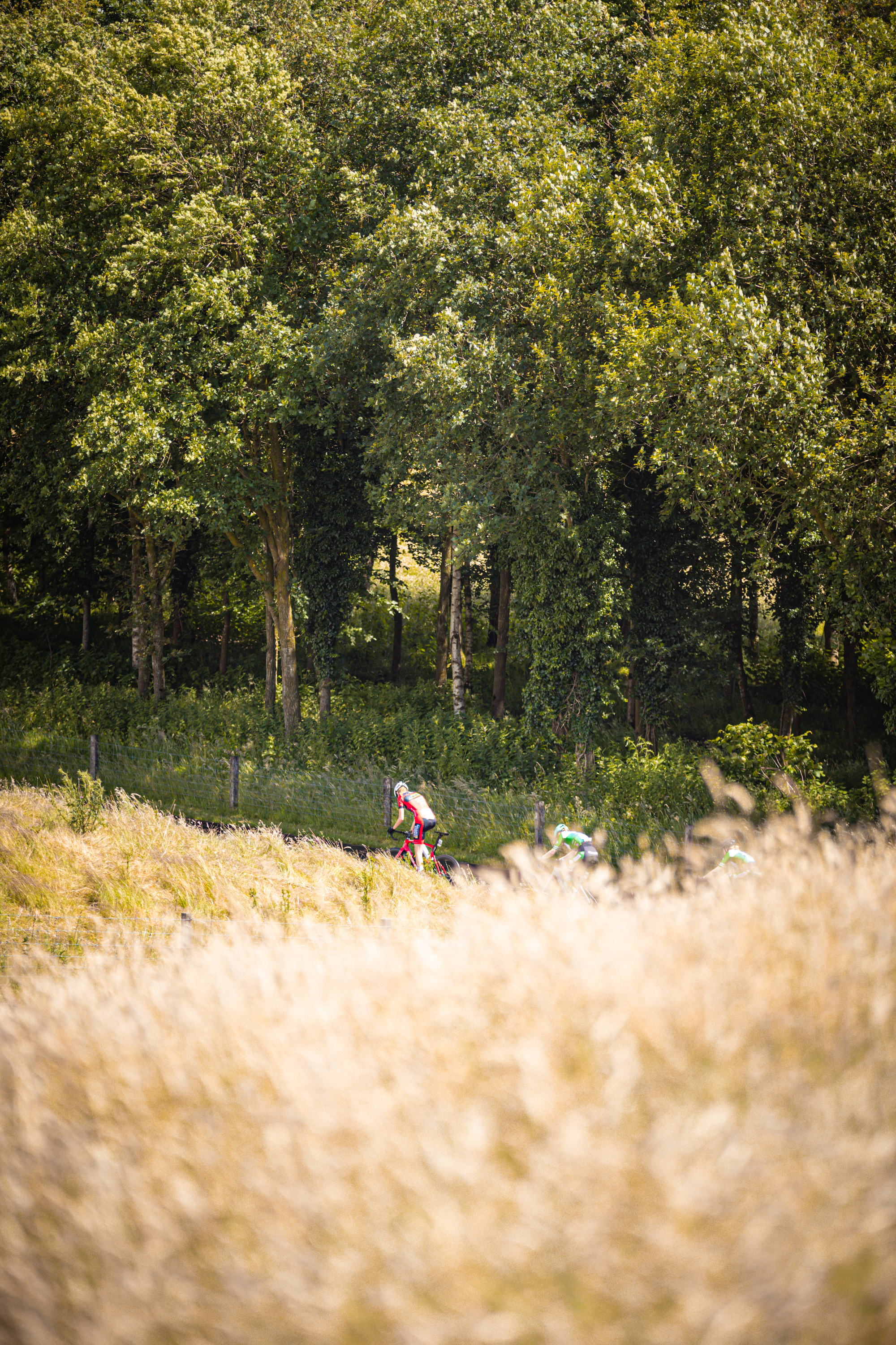 A cyclist riding down a path through tall grass near trees.