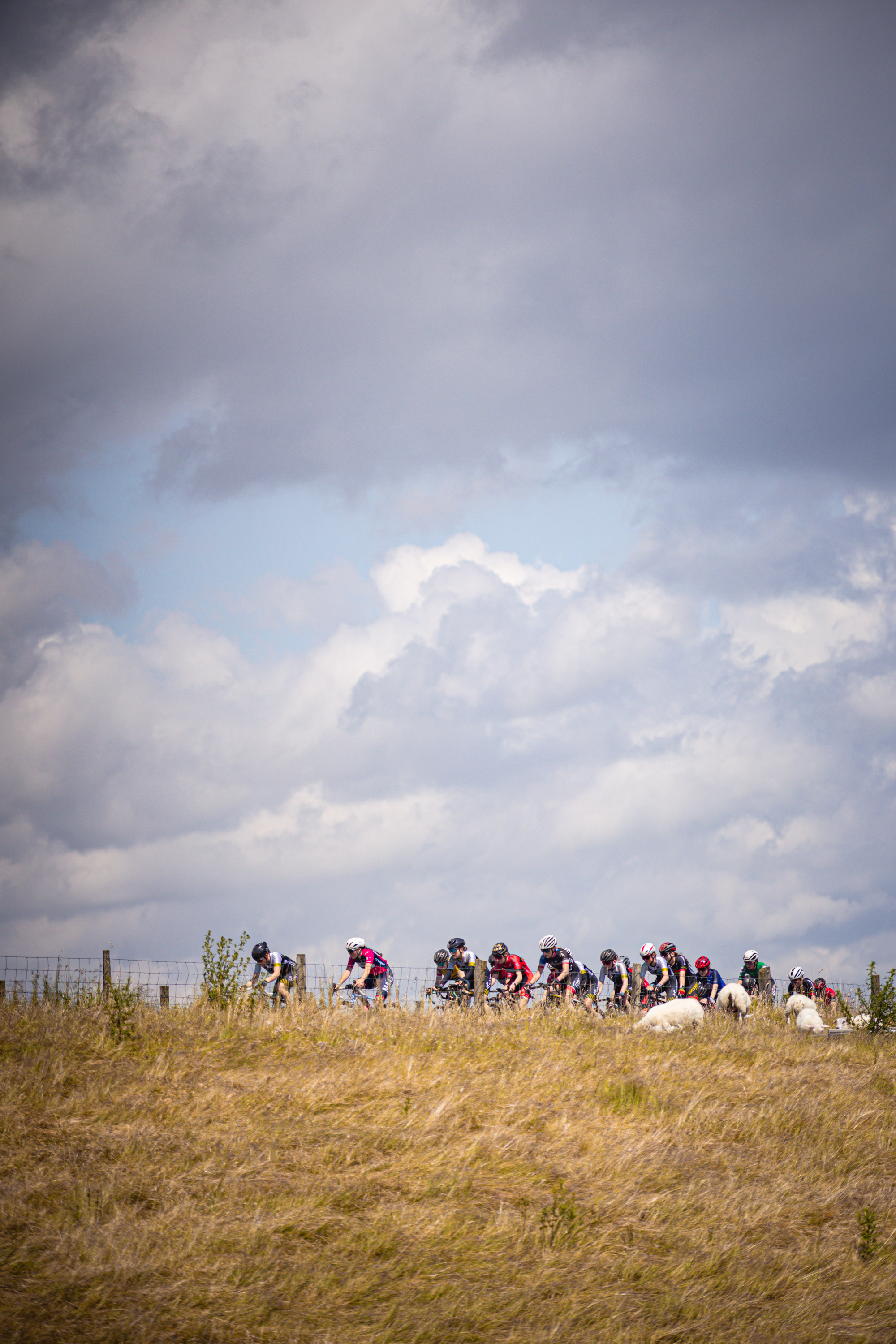 A group of cyclists participating in a bicycle race on a sunny day.