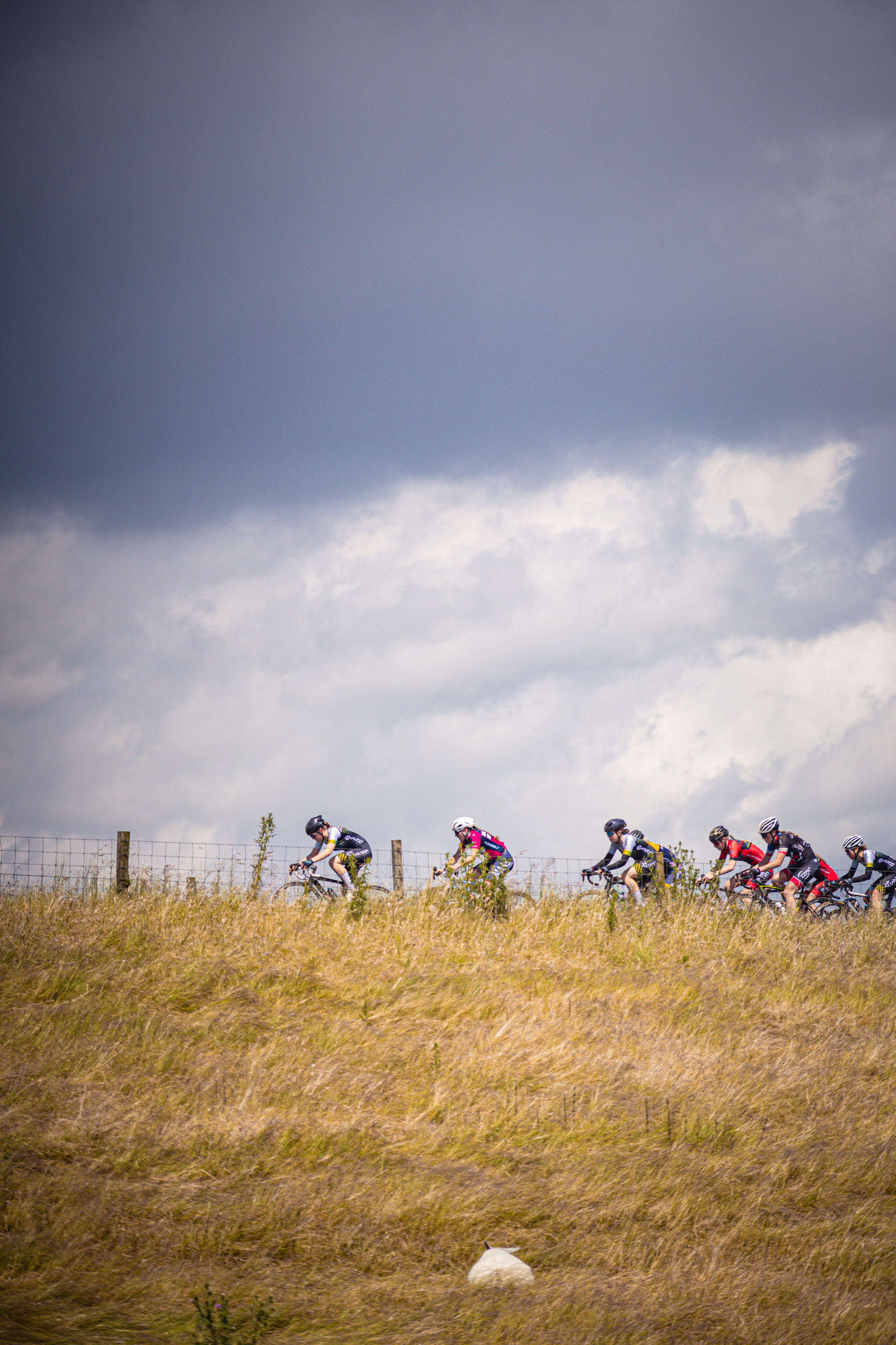 Several cyclists in a race sponsored by Nederlands Kampioenschap.