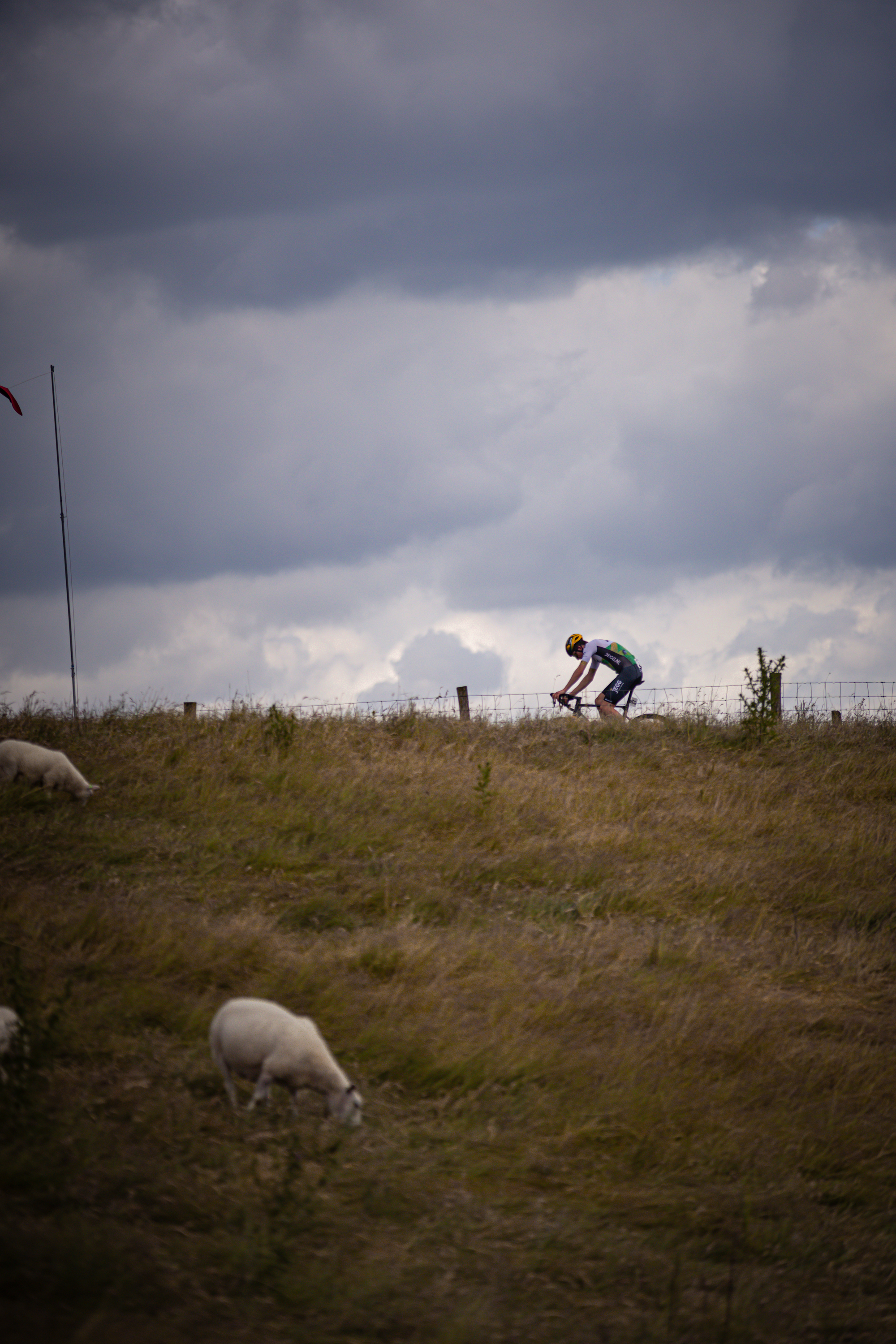 A person on a bicycle goes down a small hill as they race in the 2024 Nederlands Kampioenschap.