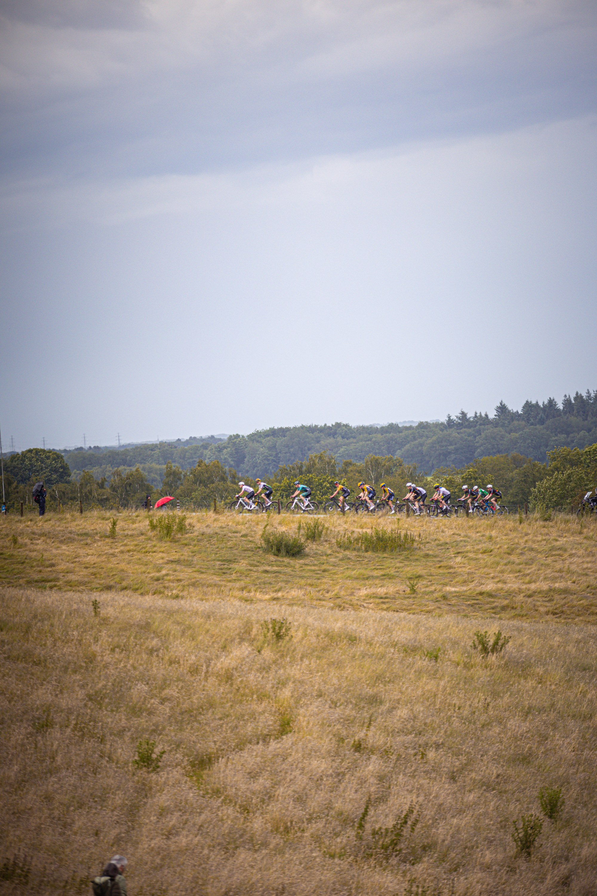 A group of cyclists race down a grassy hill at the Nederlands Kampioenschap.