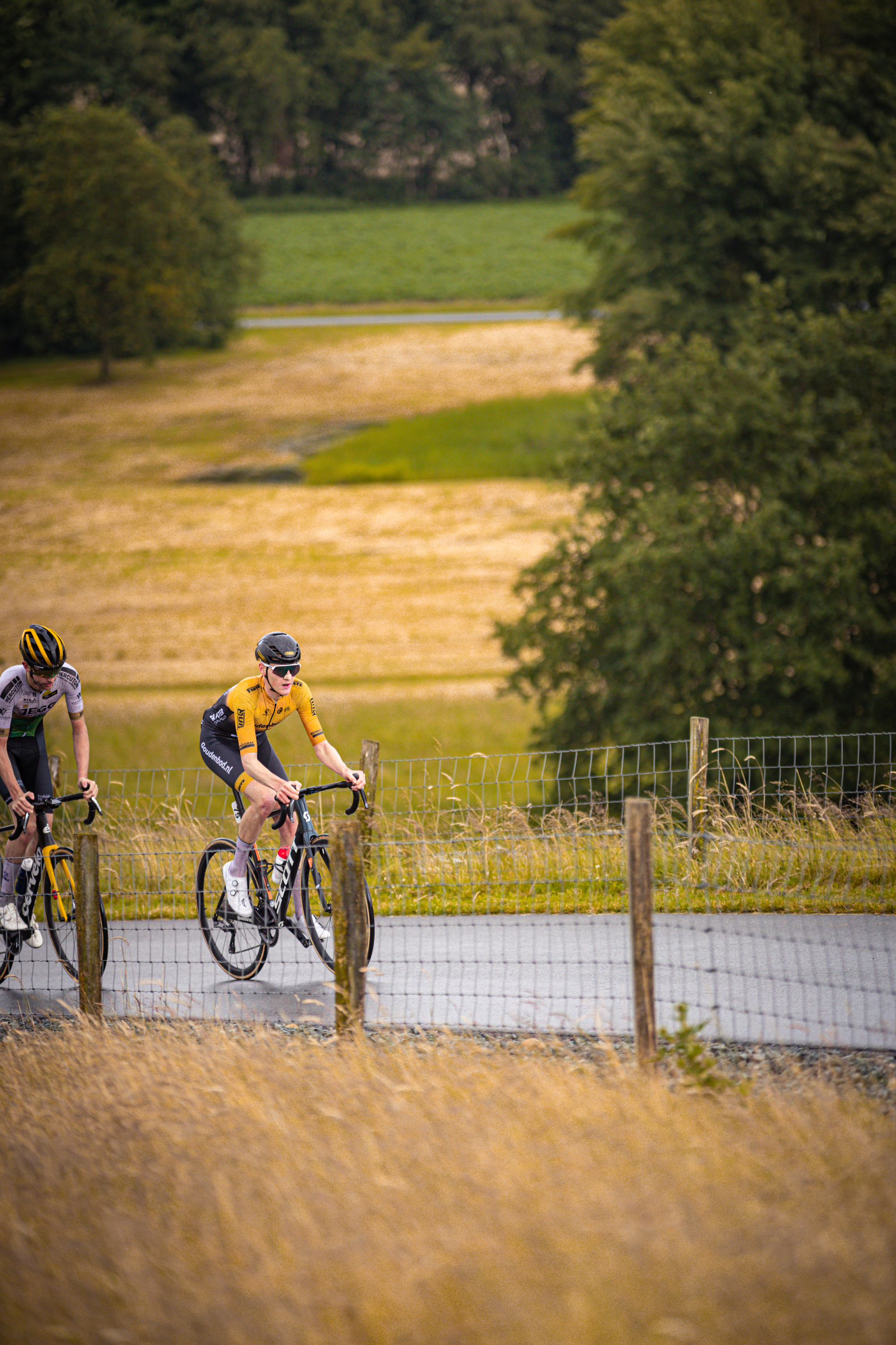 De foto toont een man en een kind op fietsen, die op een pad rijden met grass.