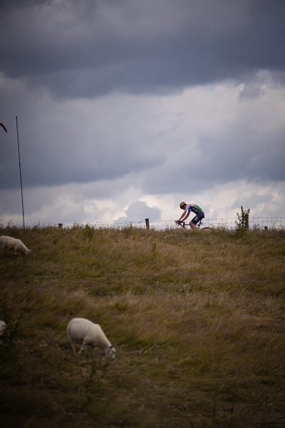 A person on a bicycle goes down a small hill as they race in the 2024 Nederlands Kampioenschap.