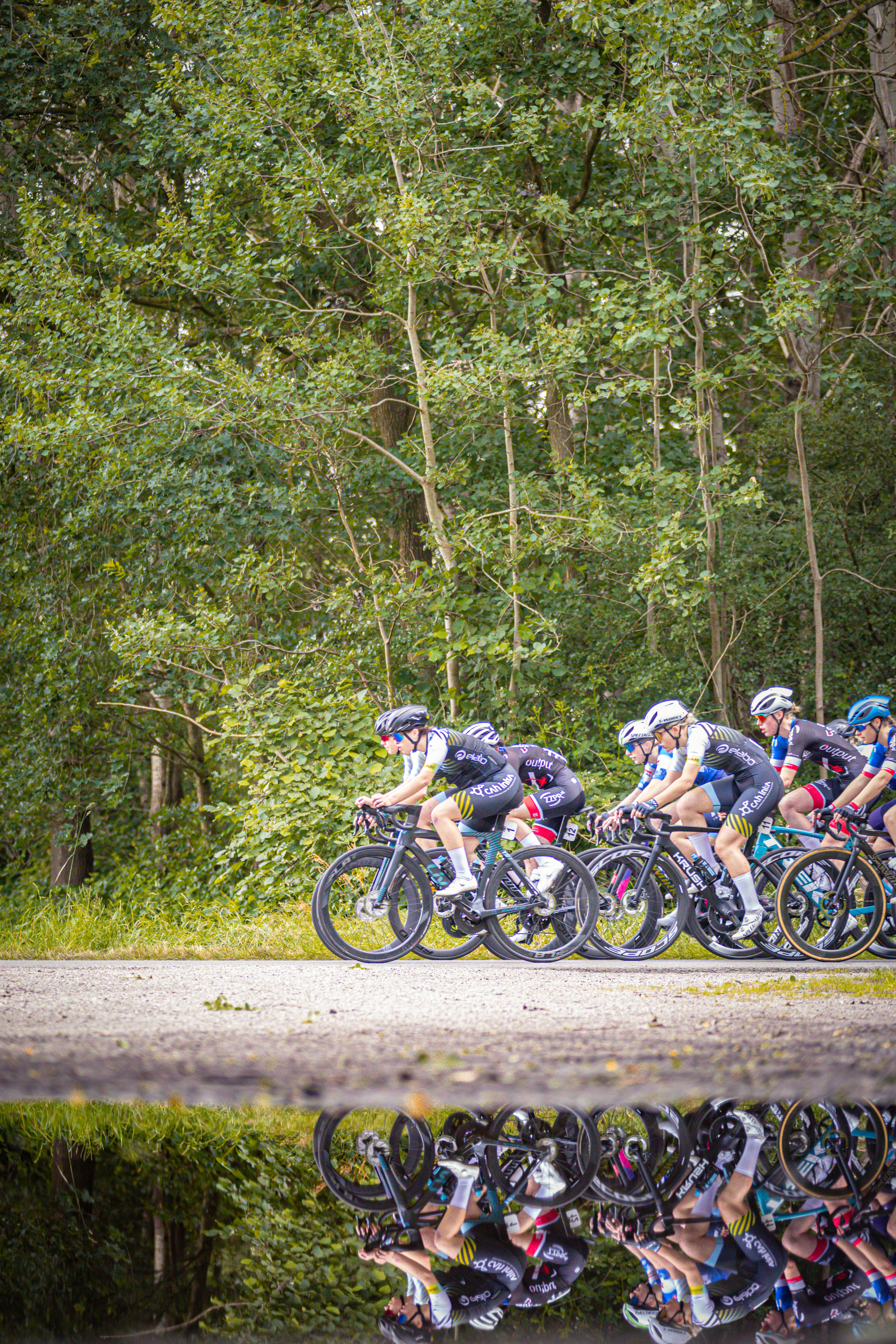 A group of cyclists race down a road, with one wearing the number 1.