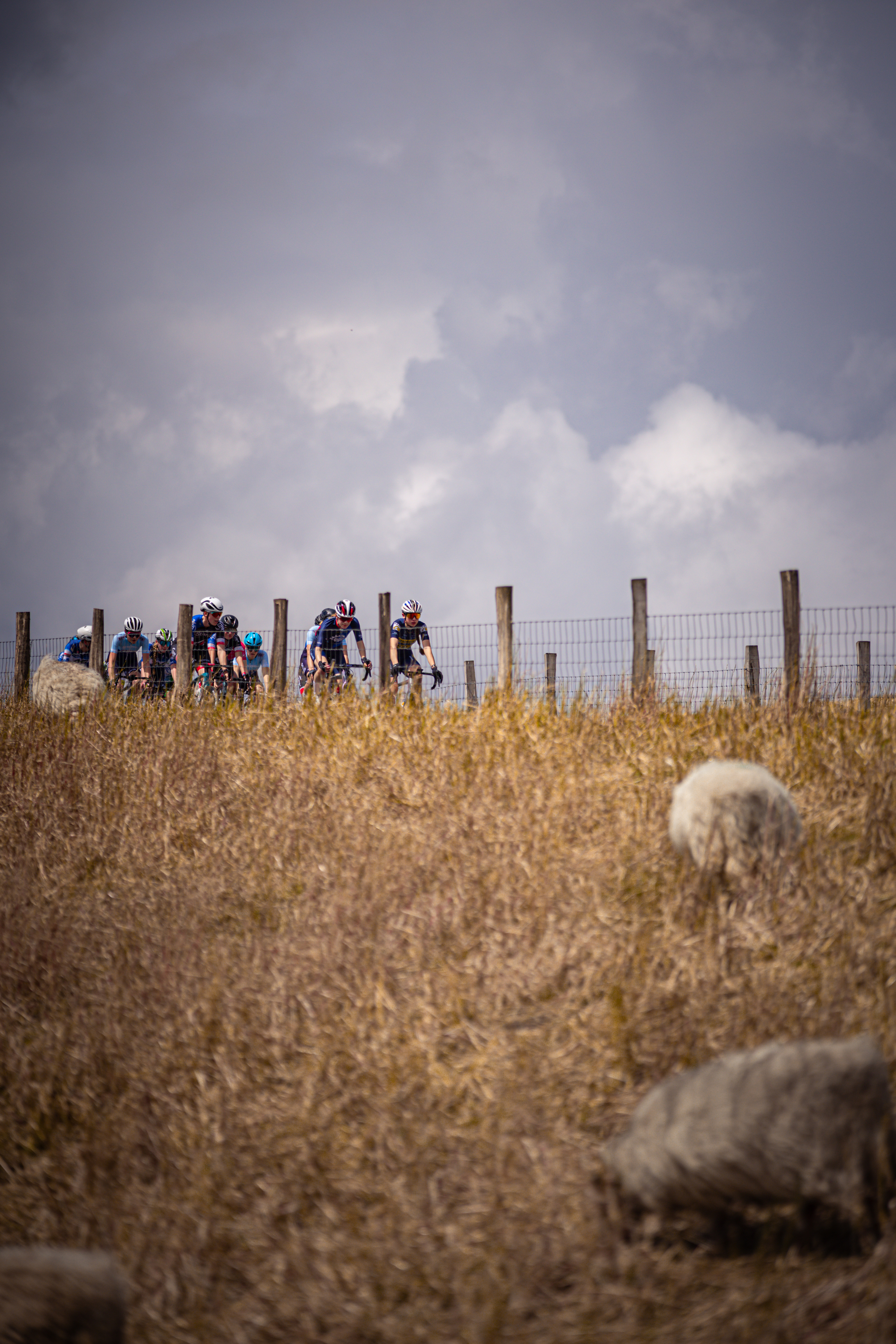 The cyclists are preparing for the Dutch Cycling Championships in 2024.