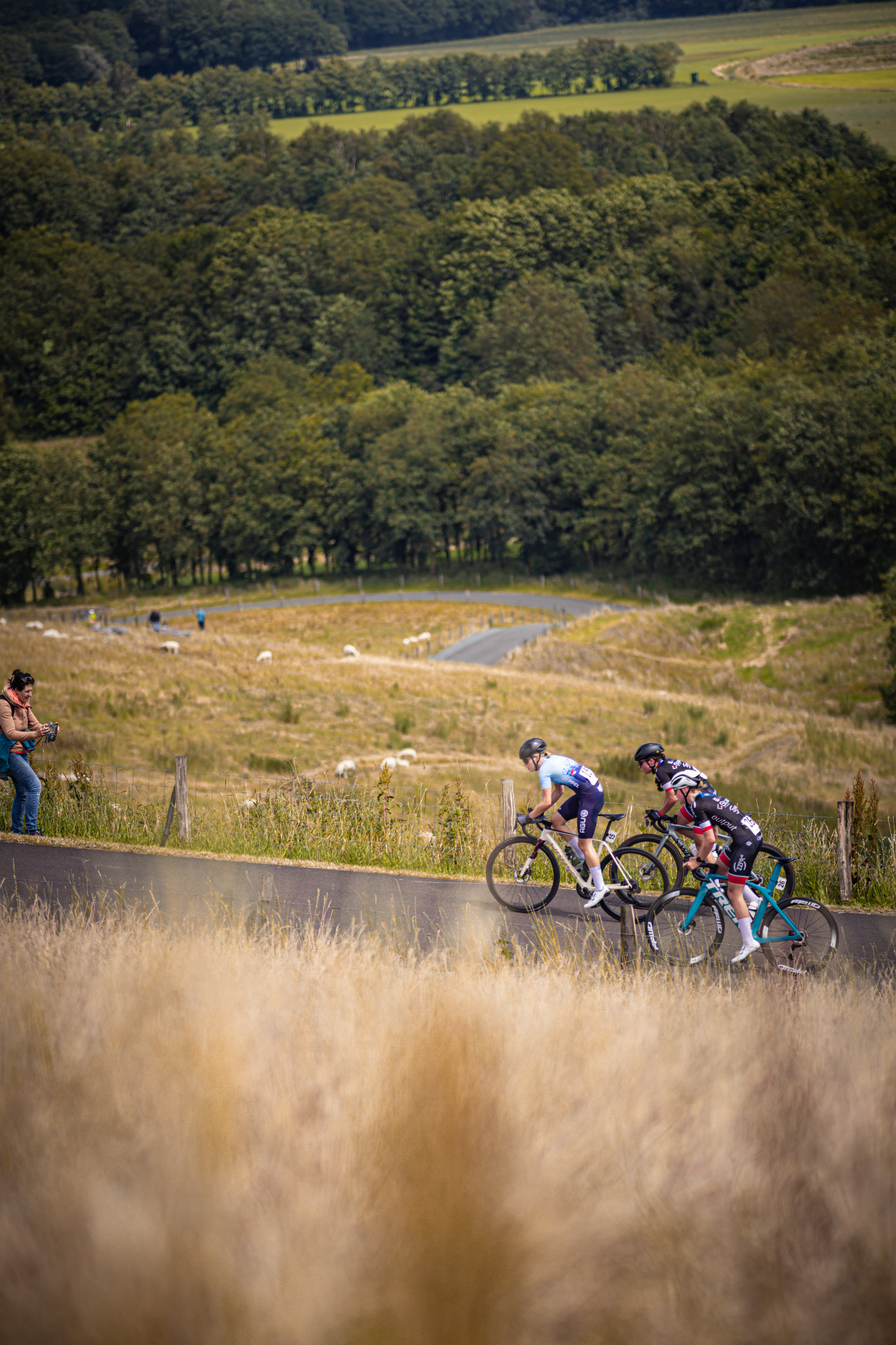 Some people are riding bicycles on a road during the 2024 Nederlands Kampioenschap.