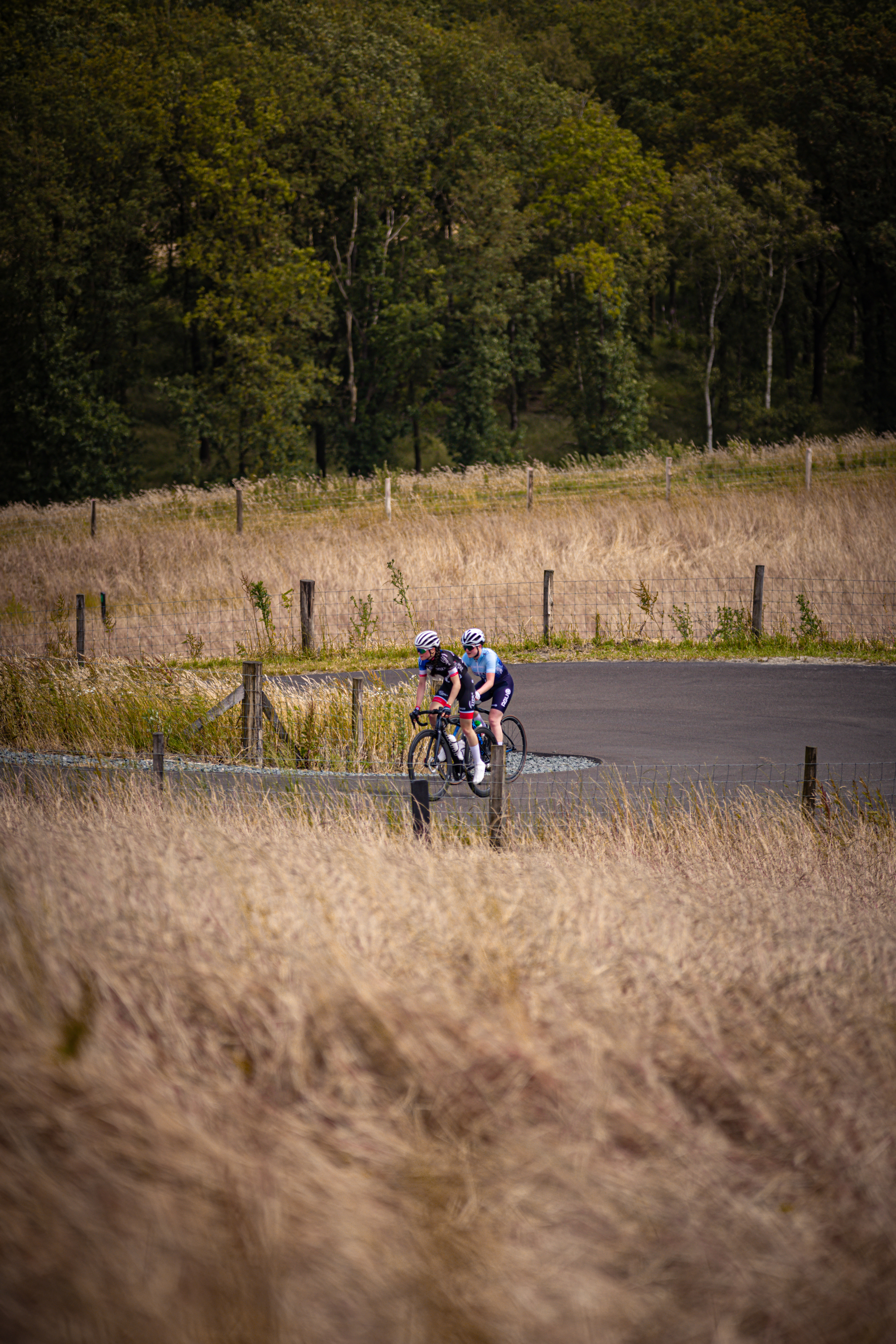 Twin cyclists ride in a field of tall brown grass.