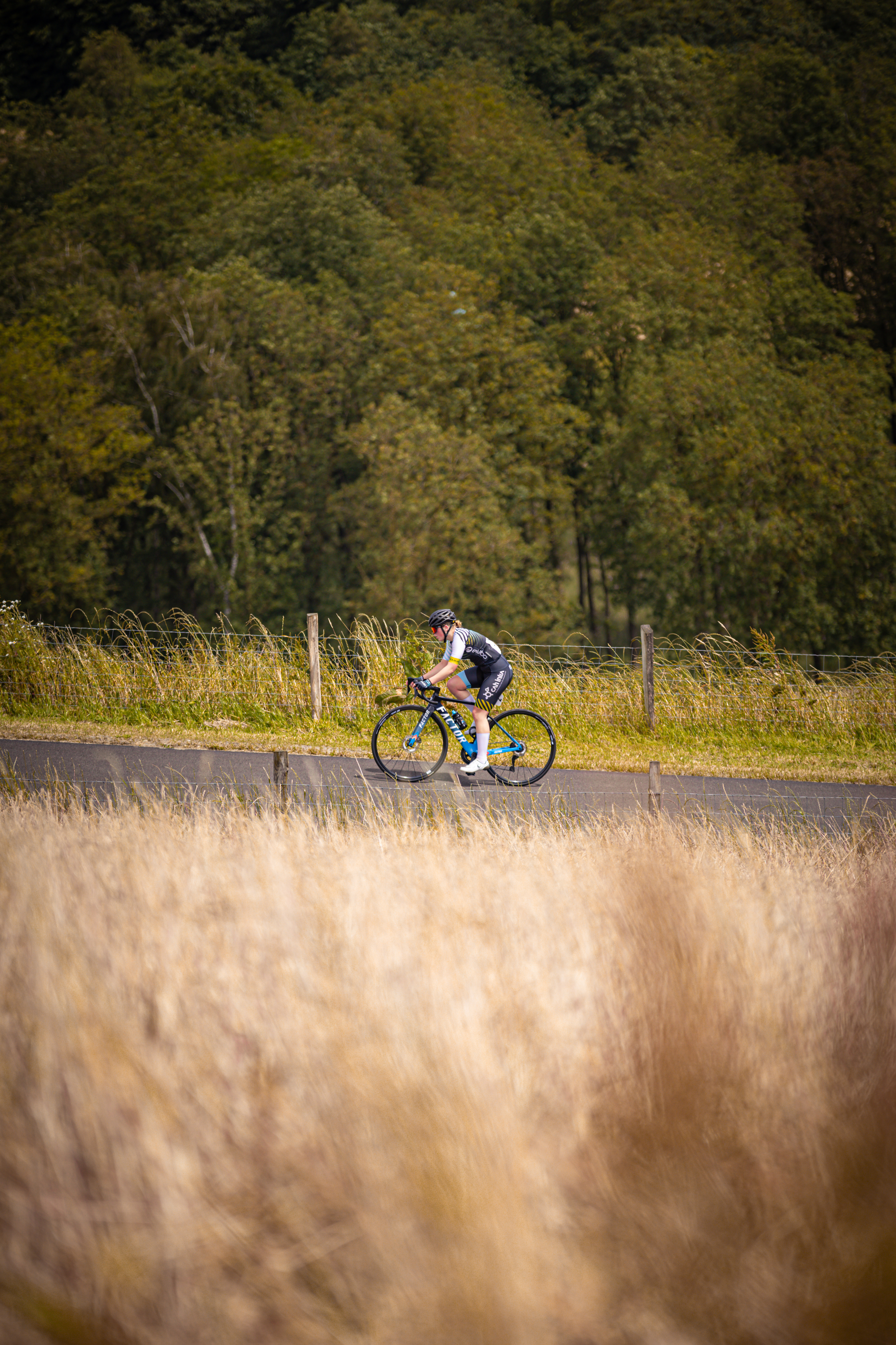 A cyclist is riding along the side of a road near tall grass.