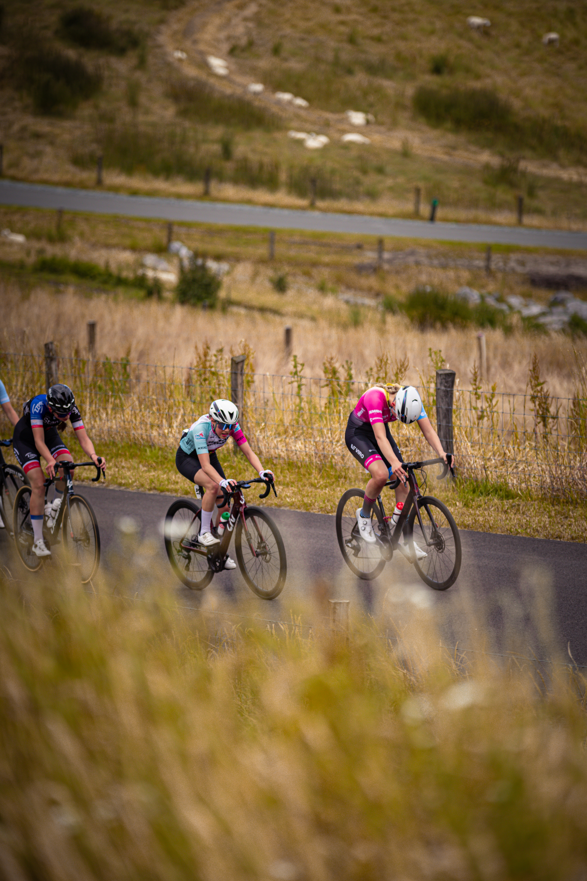 Three cyclists race down a road on the Nederlands Kampioenschap in 2024.