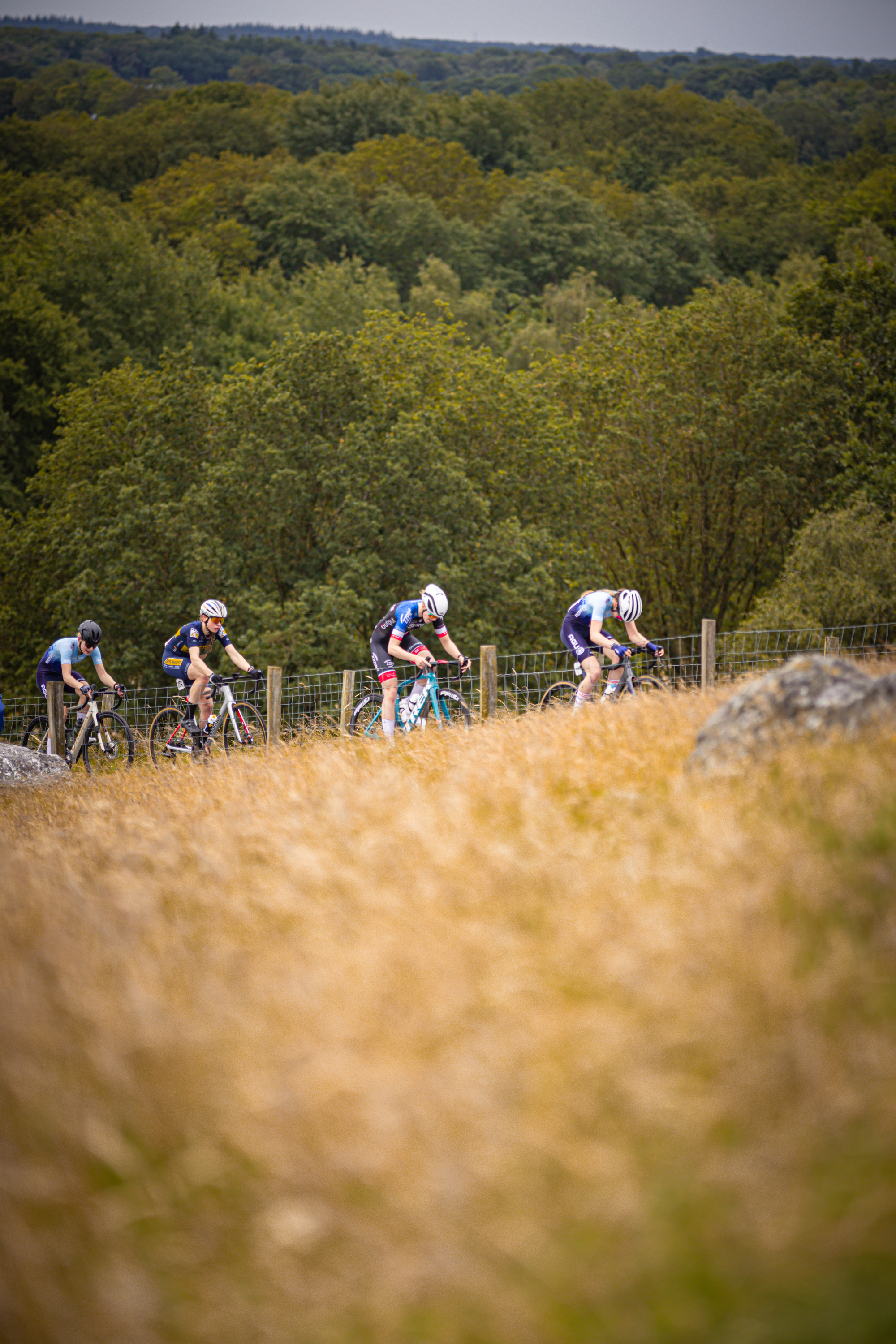 The cyclists are participating in the Nederlands Kampioenschap.