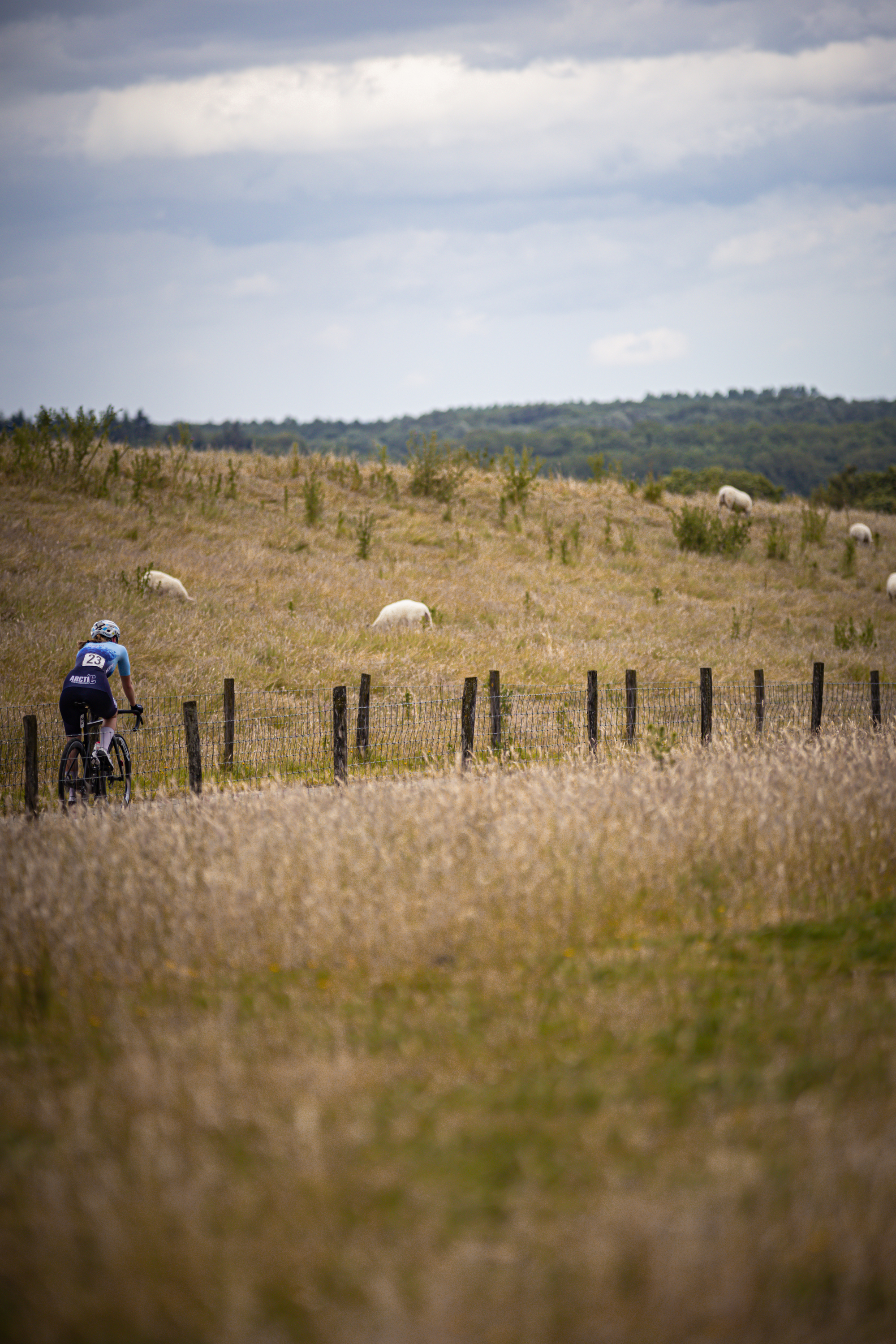 A person is riding a bike on a grassy field near a fence. The person's shirt reads "Junioren Dames".