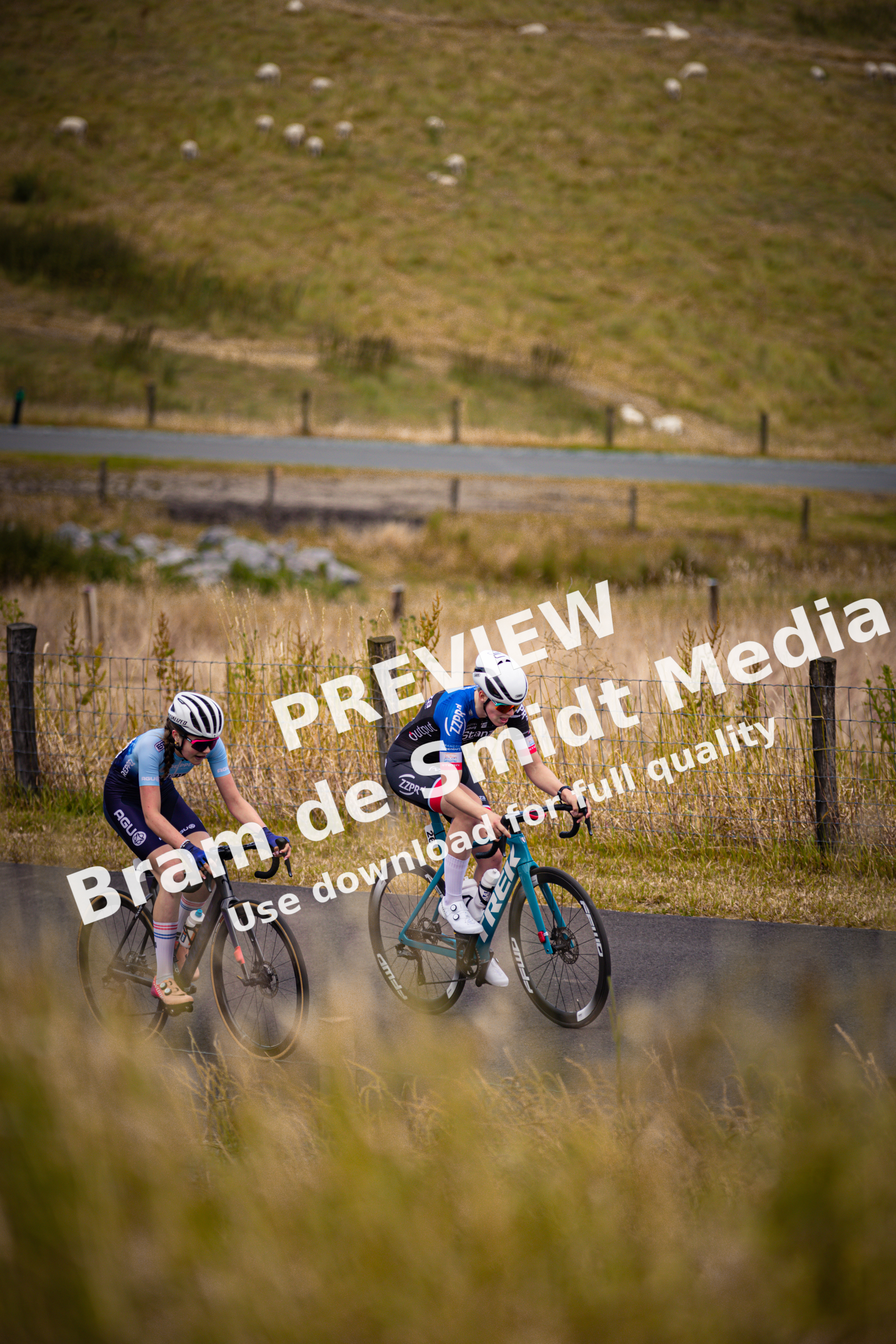 Two women are riding bicycles down a road. One of them is wearing a blue jersey with the number 23 on it.