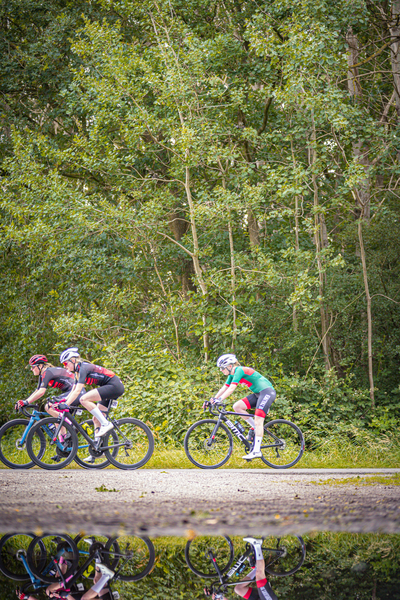 Three cyclists race around the corner of a street lined with trees.