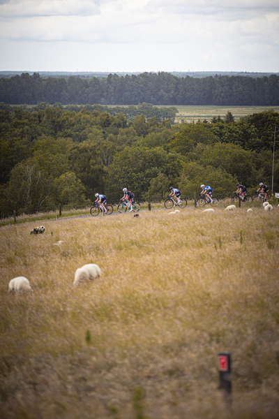 The Juniors, led by the leader in blue and white uniforms, are riding their bikes up a small hill.