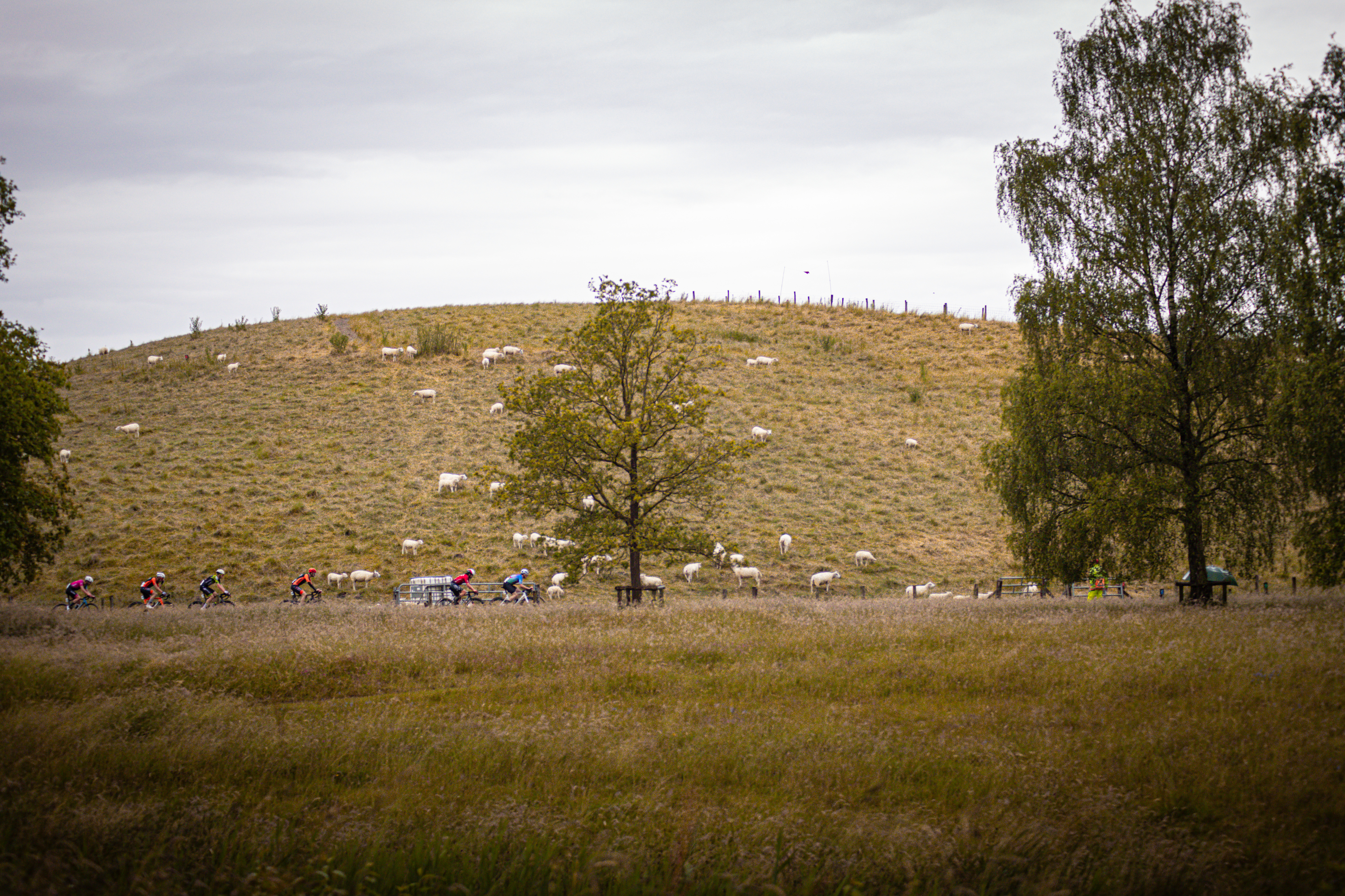 Bicyclists race down a hill at the Nederlands Kampioenschap.