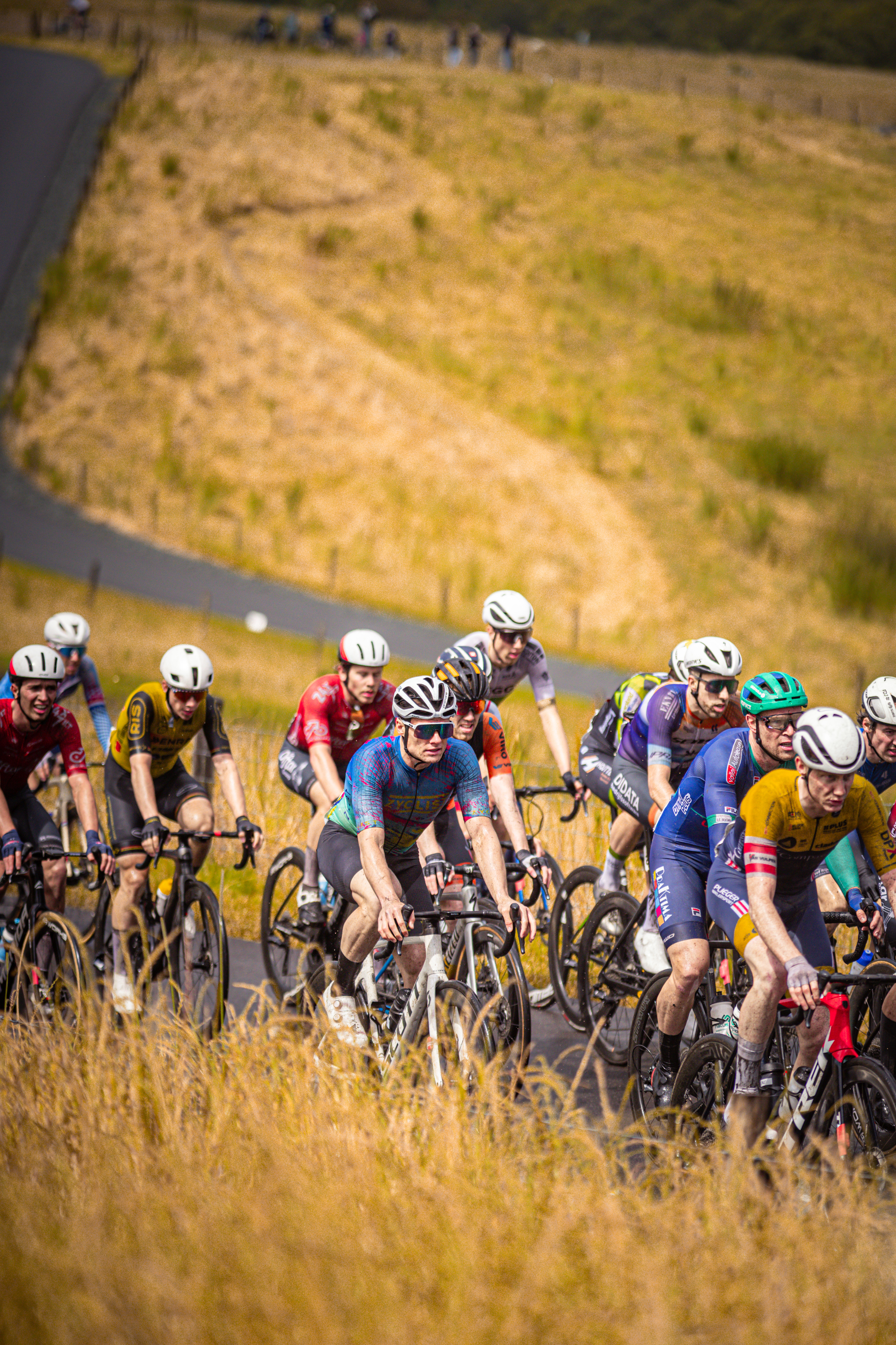 A group of cyclists race down a hill wearing jerseys with numbers on them and helmets for safety.