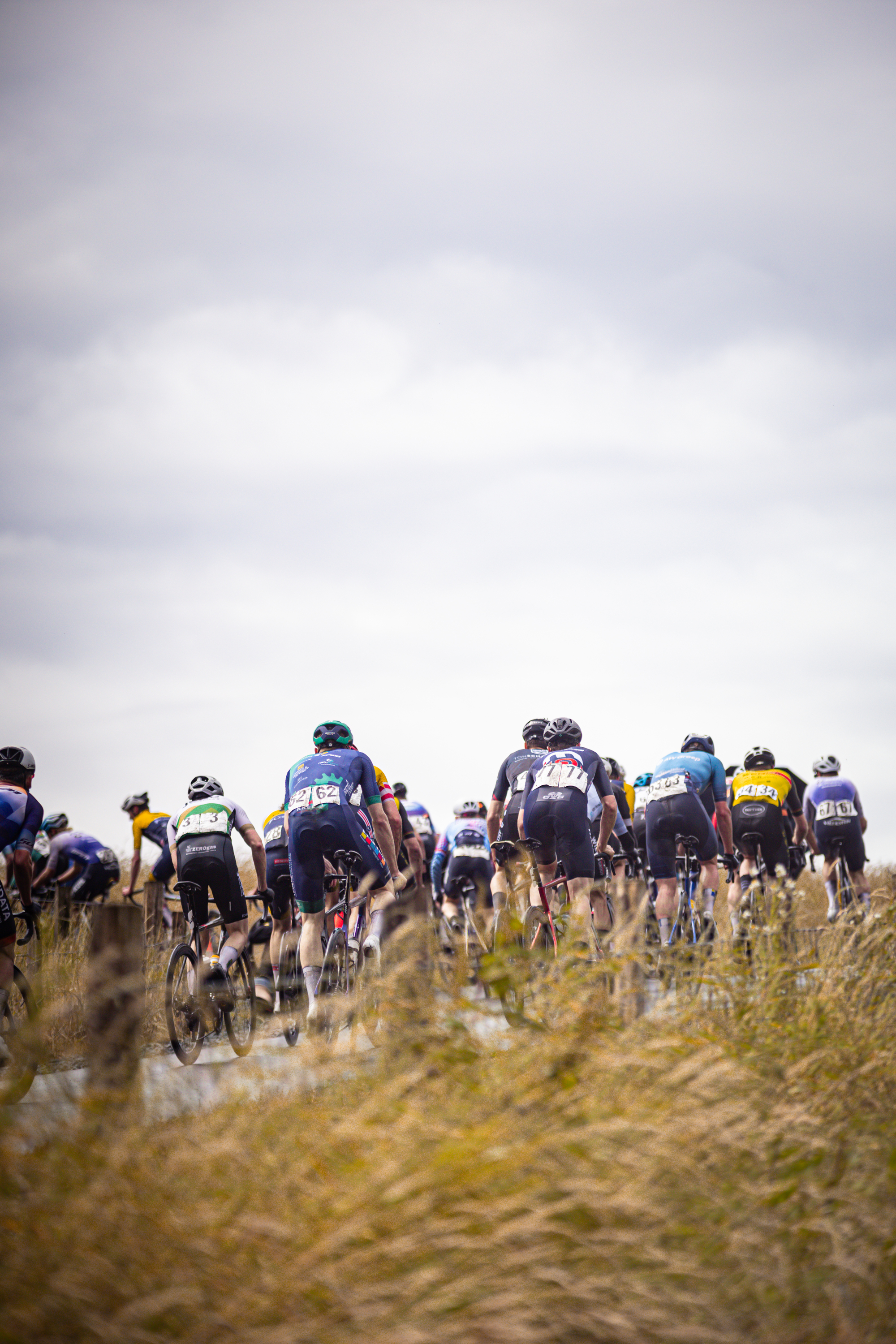 A cycling race sponsored by DCM. The cyclists, dressed in blue and black suits, are riding on a dirt road with tall grasses.