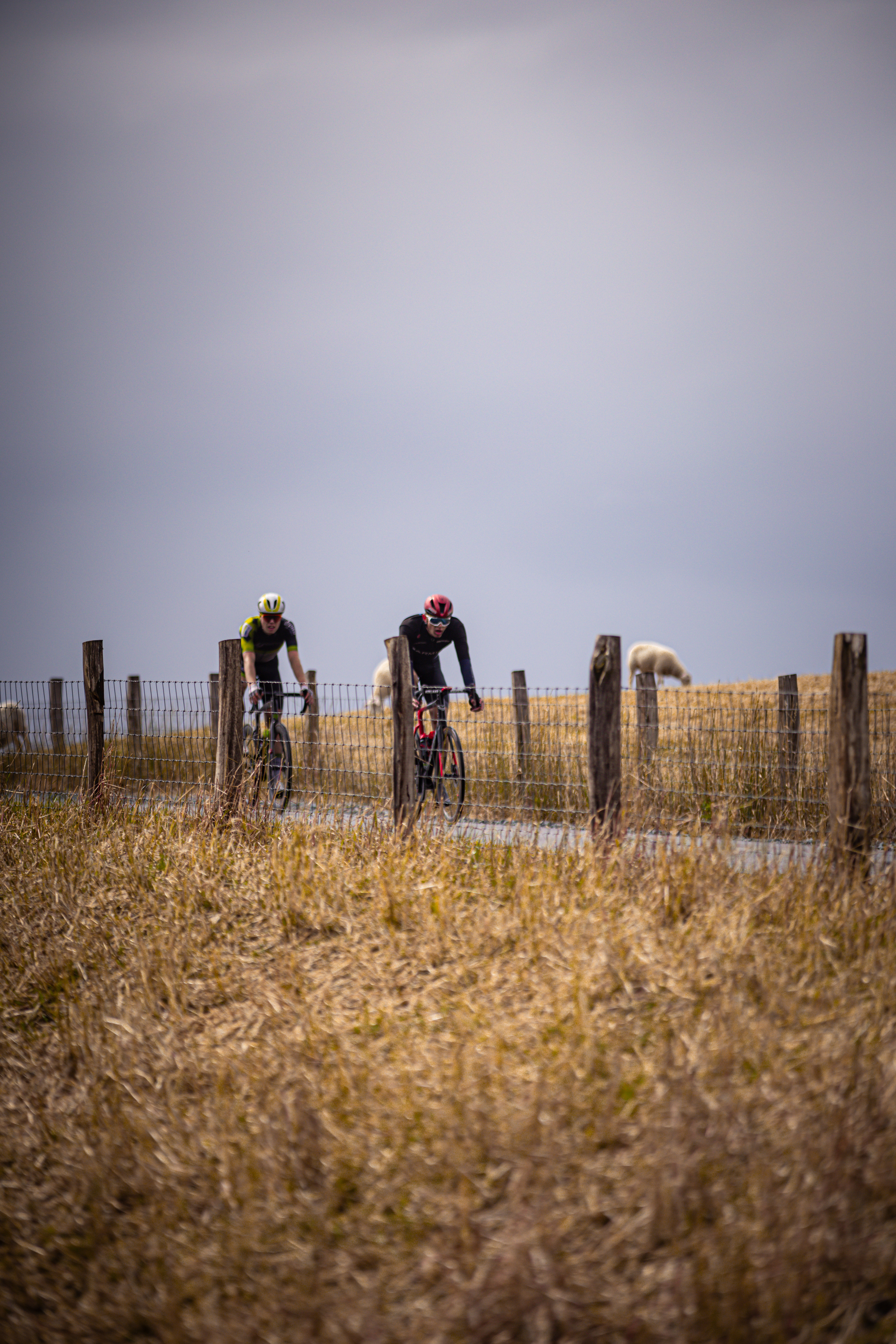 Two men are riding bicycles near a fence with signs that say "Nederlands Kampioenschap".