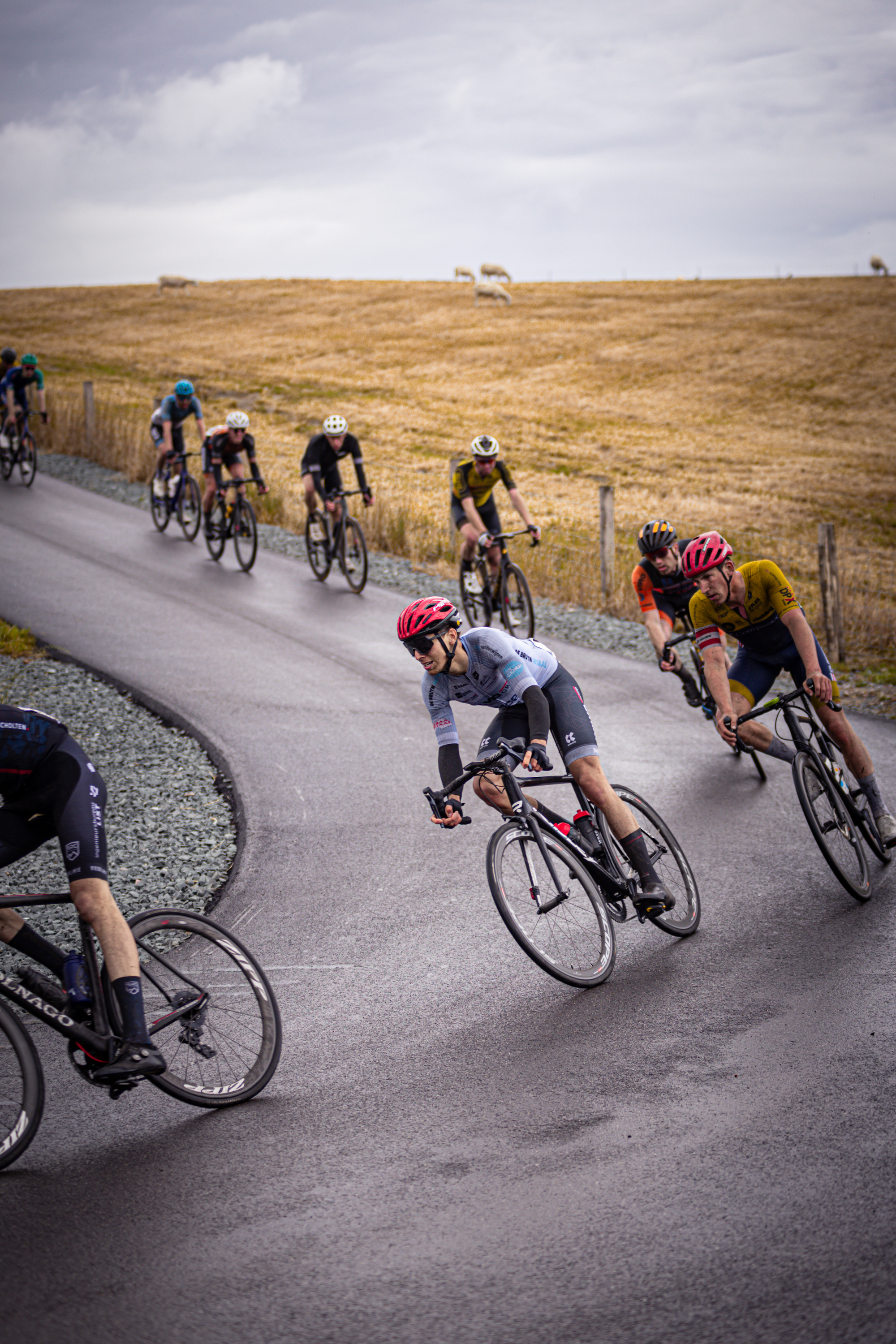 A group of cyclists riding down a road, and one of them is wearing the number 44.