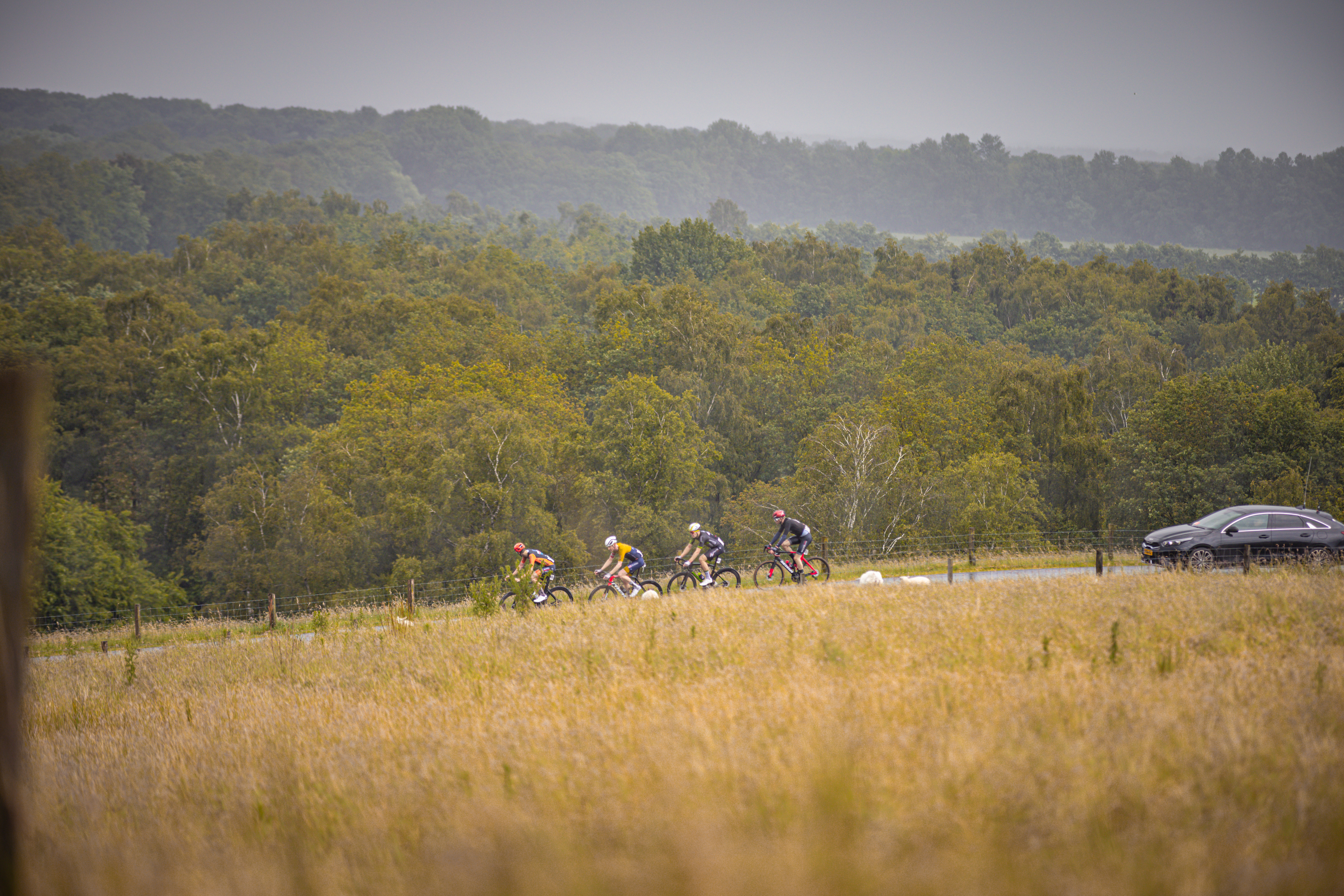 The race has a number of participants and the riders are riding at full speed.