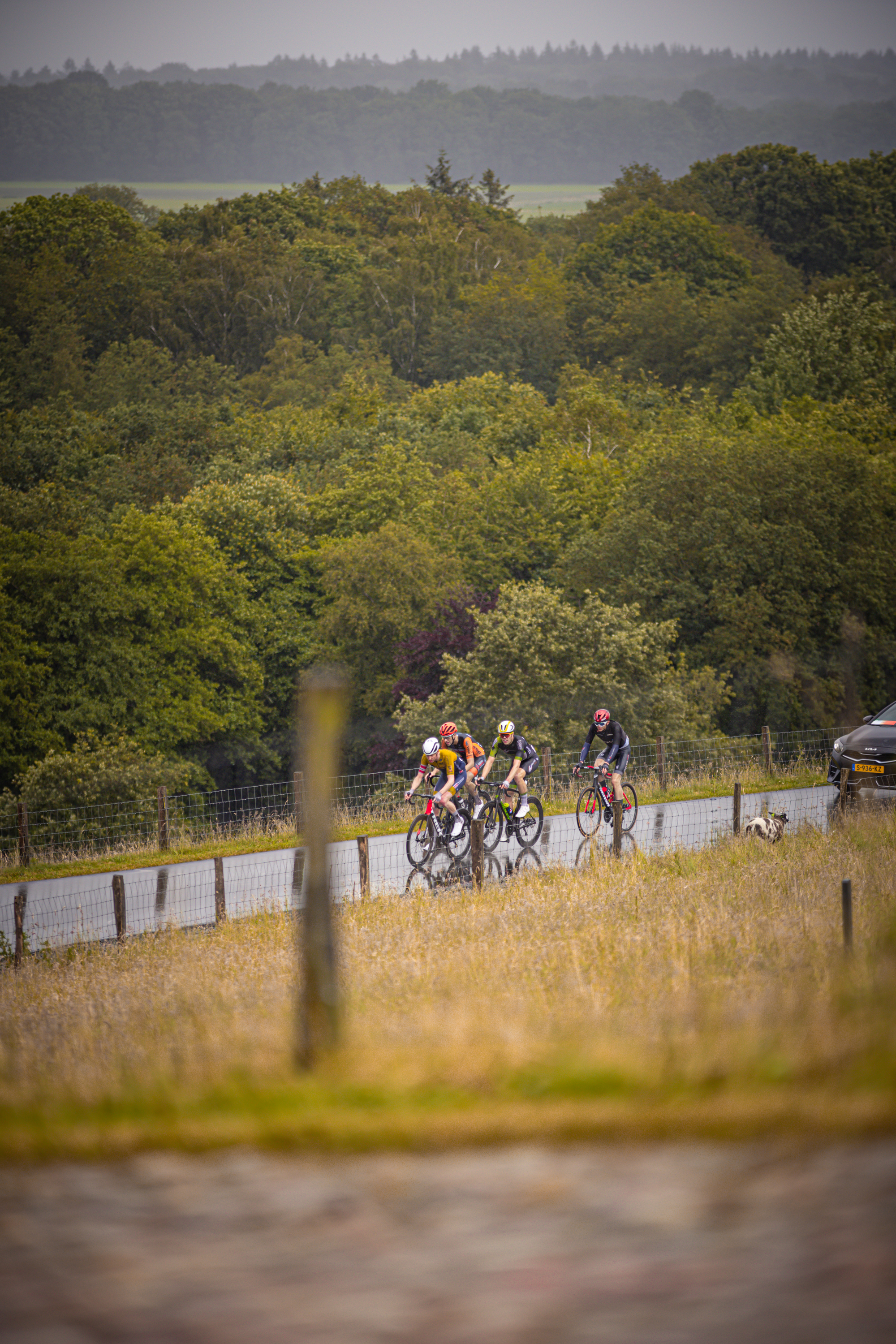 A group of cyclists, including a rider with the number 2 on their back, ride in a line down a rural road.