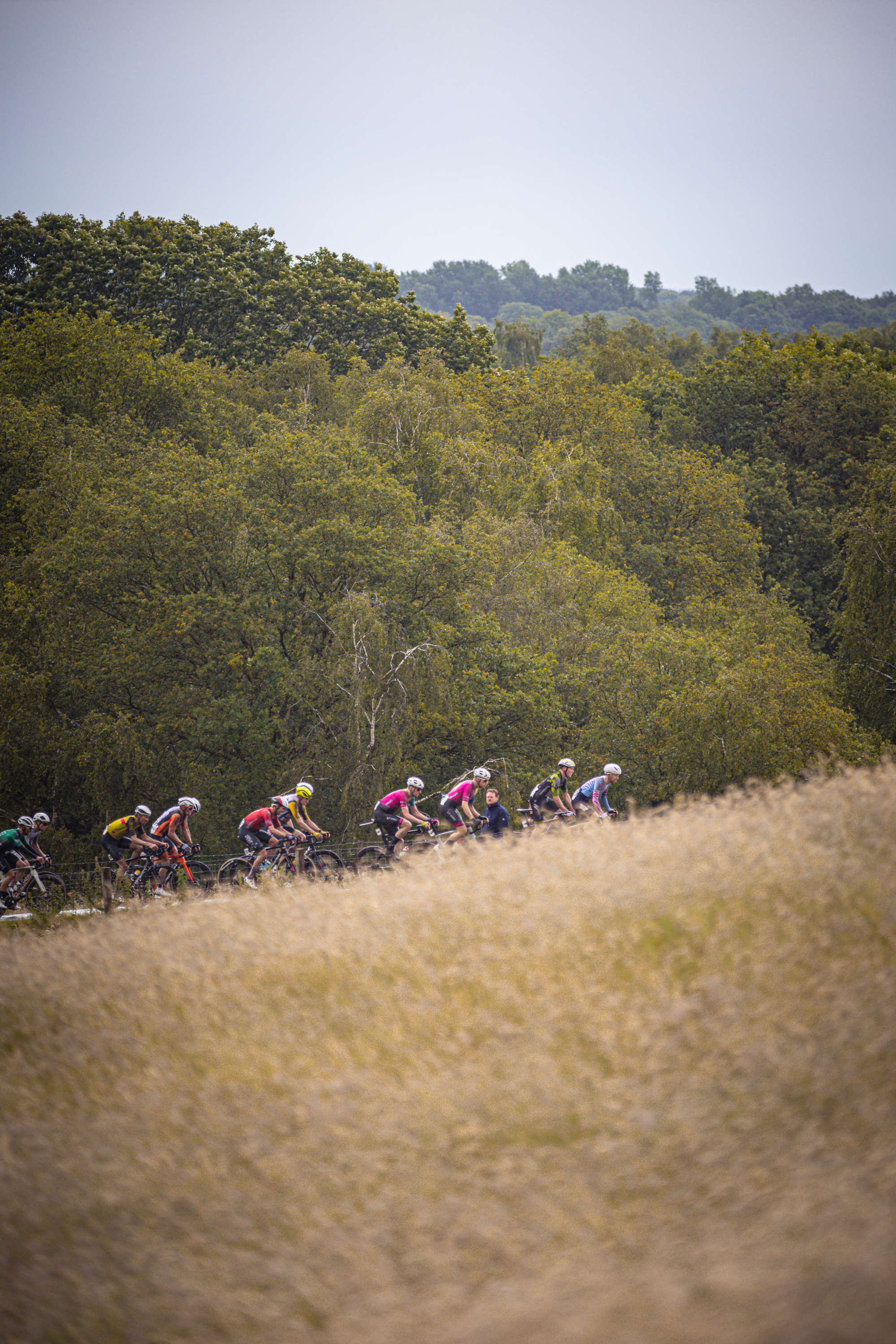 A group of cyclists race on a hillside during the Nederlands Kampioenschap, held in 2024.