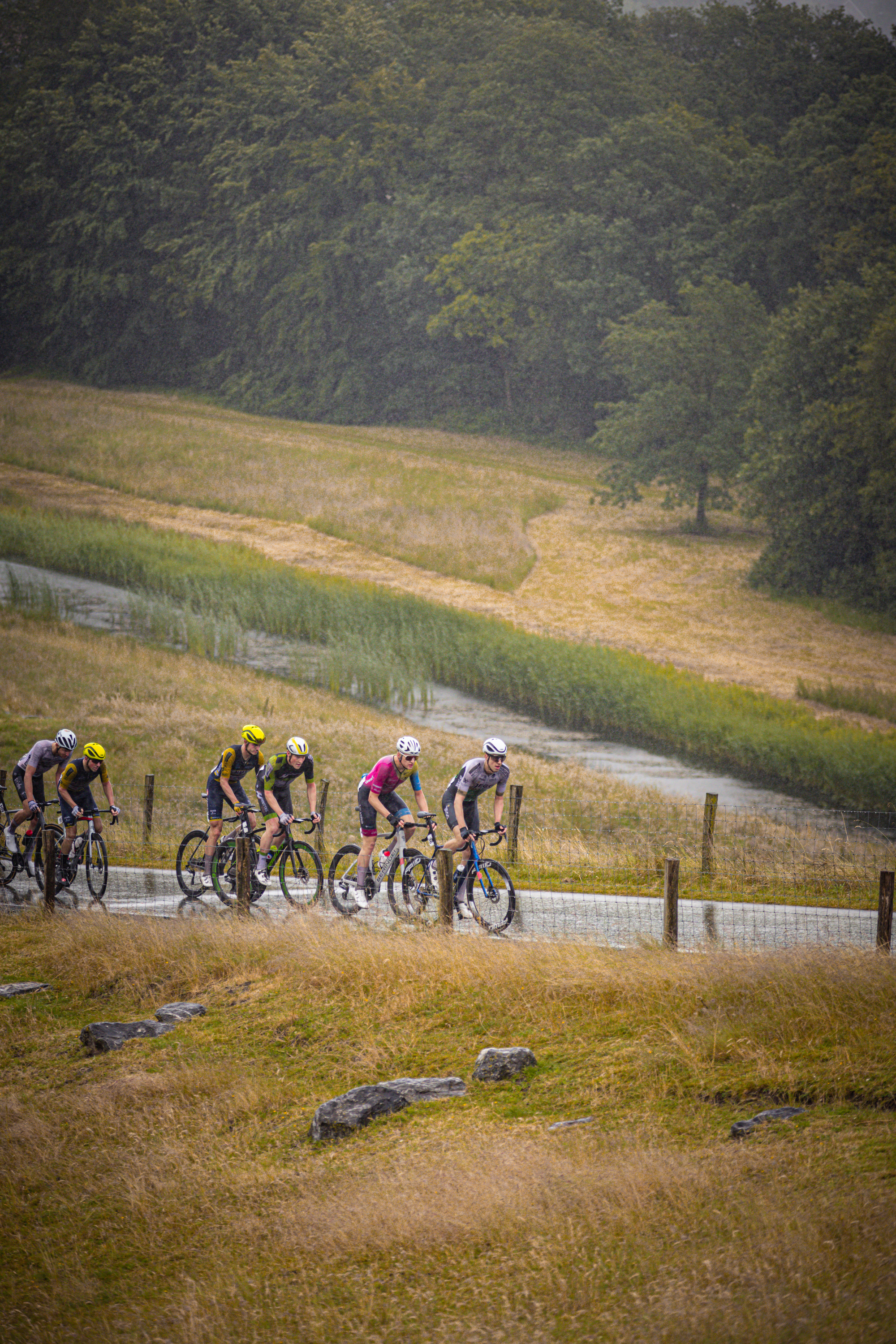 A bicycle race takes place on a grassy course with trees lining the path.