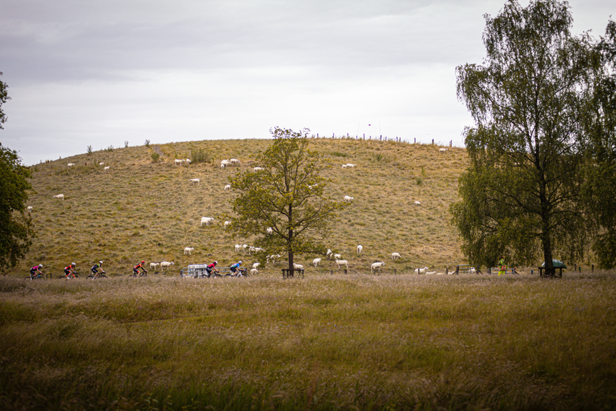 Bicyclists race down a hill at the Nederlands Kampioenschap.