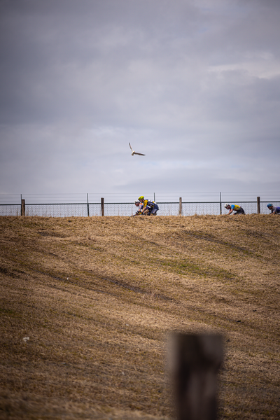 A few cyclists are taking a break from their ride in the background of an outdoor scene with some birds flying overhead.