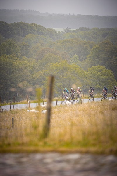 A group of cyclists race in a competition on a rural road.