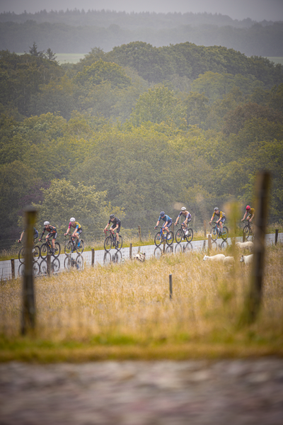 A group of cyclists are riding a race course with the Dutch Championship 2024 displayed on their uniforms.