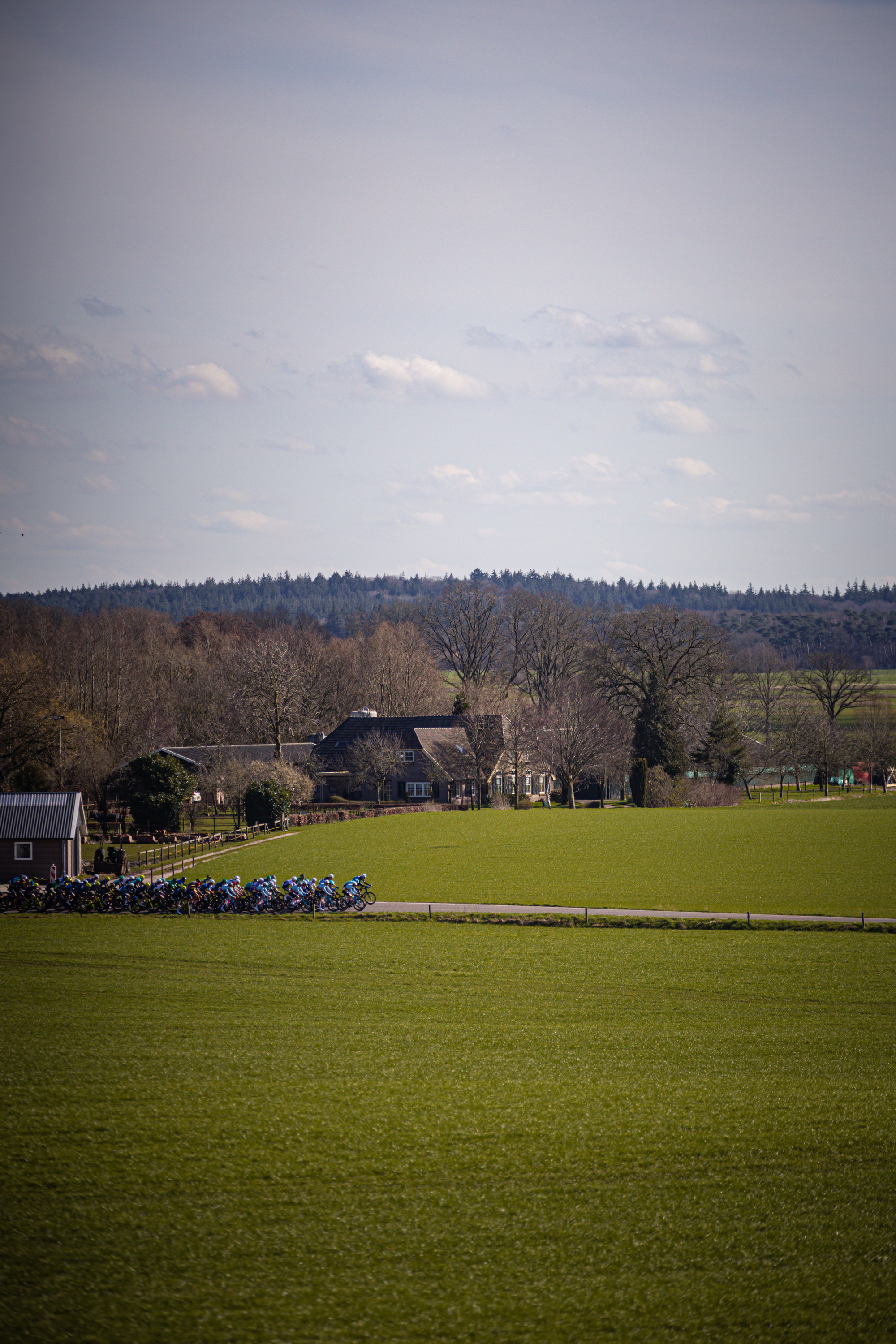 A group of cyclists are riding through a verdant countryside landscape.