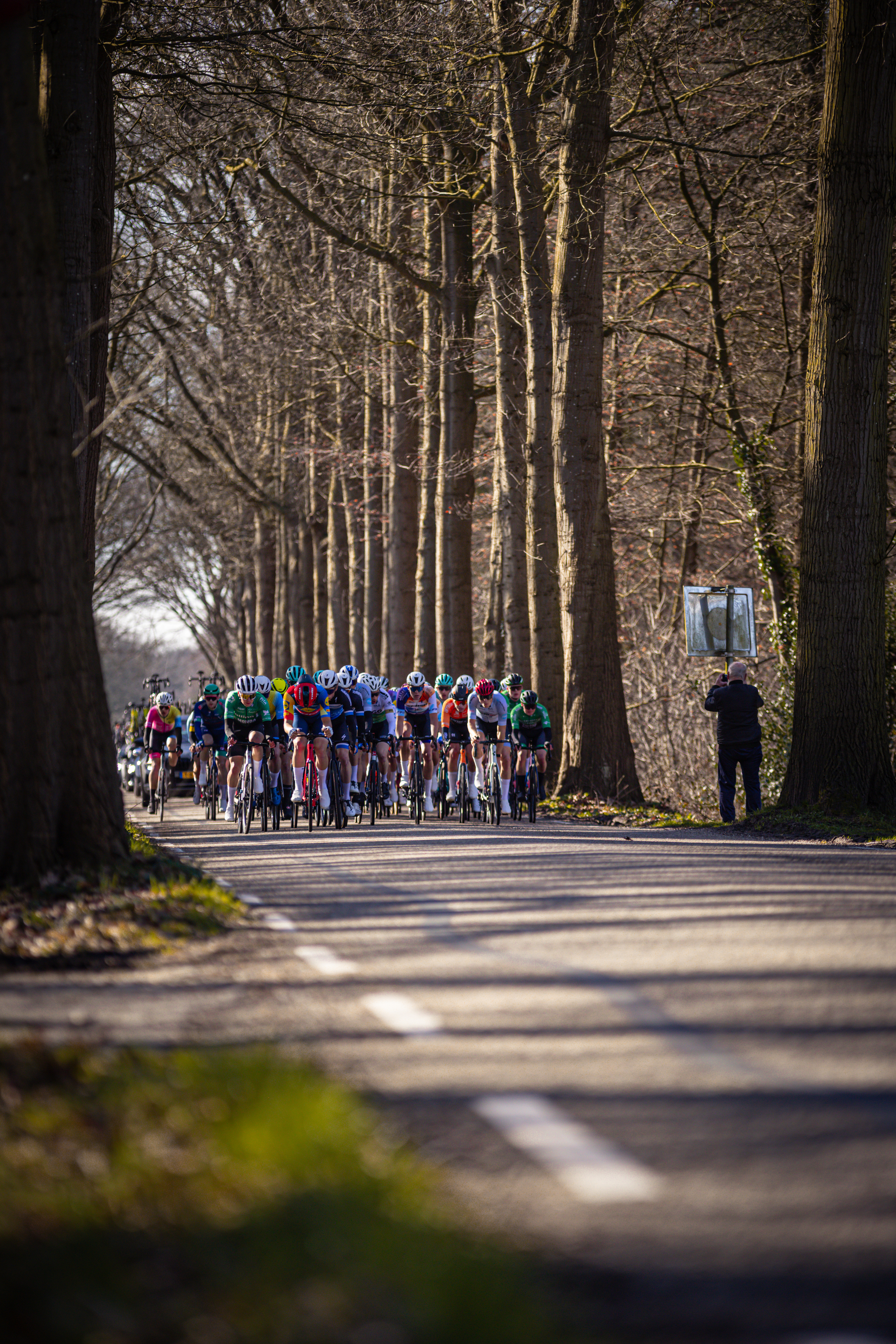 A group of cyclists race down a tree lined street as a spectator takes a picture.