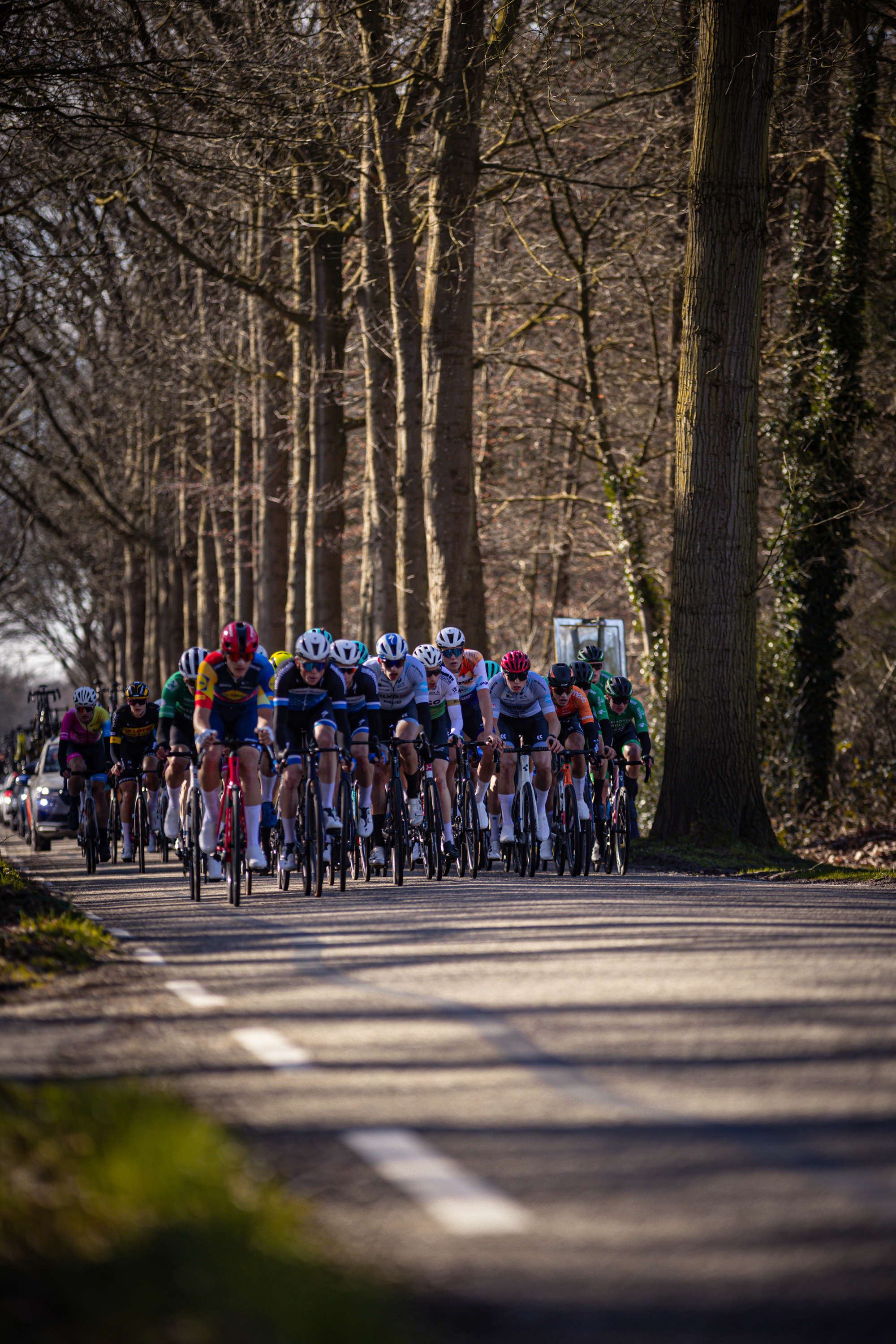 A group of cyclists race down a road in the Netherlands.